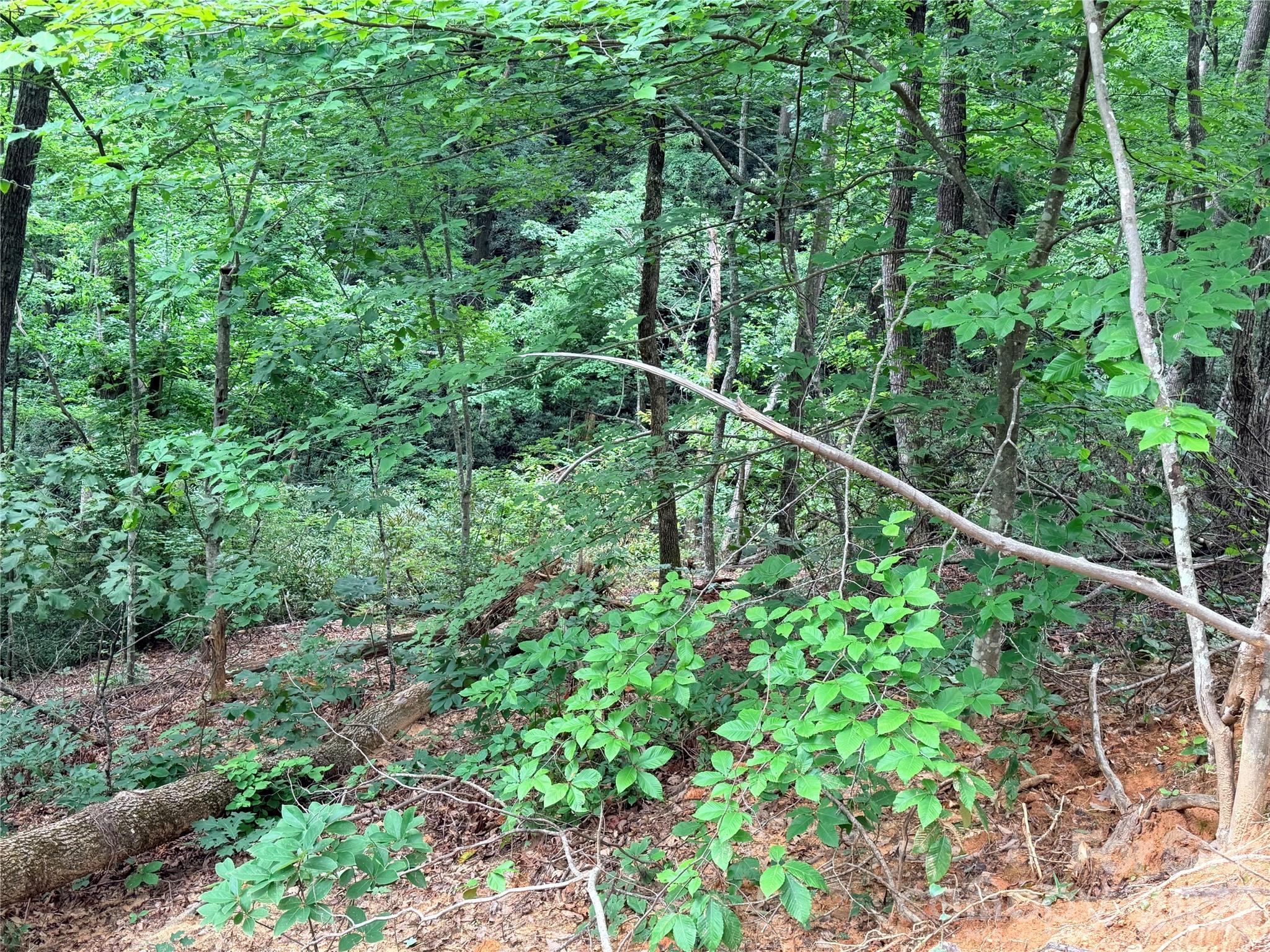 0 Harrison Drive Property Photo 6
