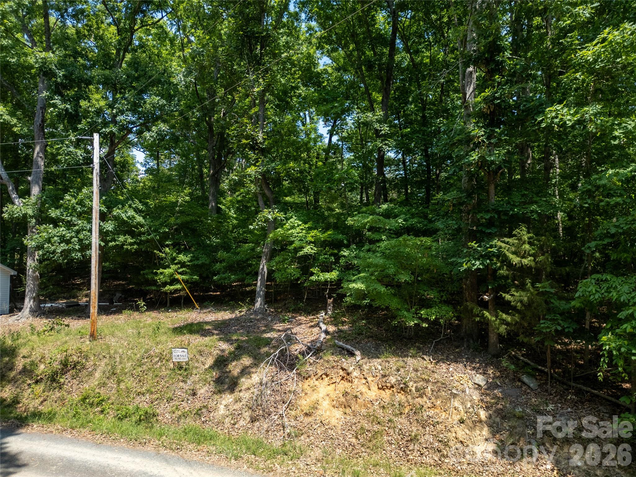 111 Pine Drive 605 Property Photo 1