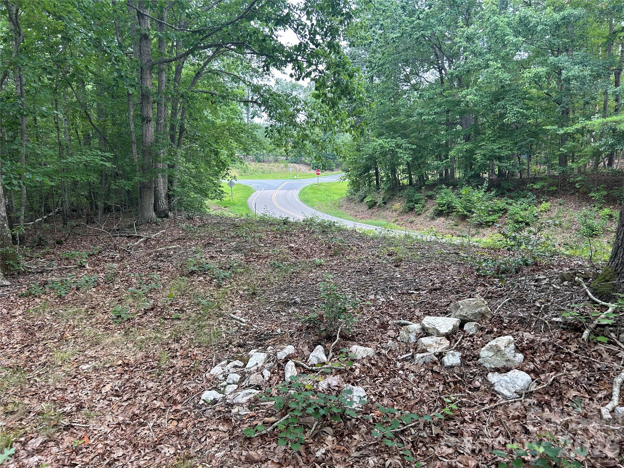 00 Wadeville Road Property Photo 3