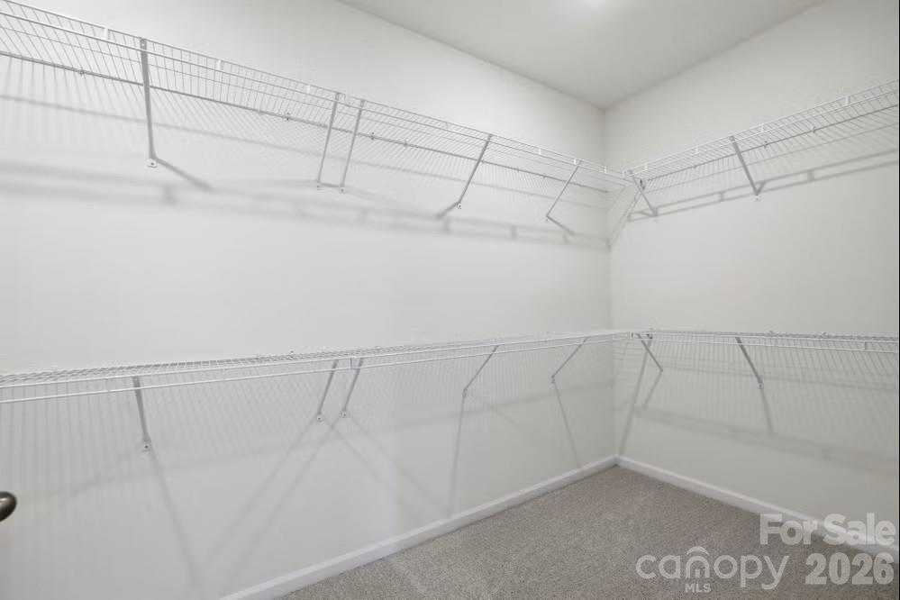 5043 Barbara Jean Lane Property Photo 25
