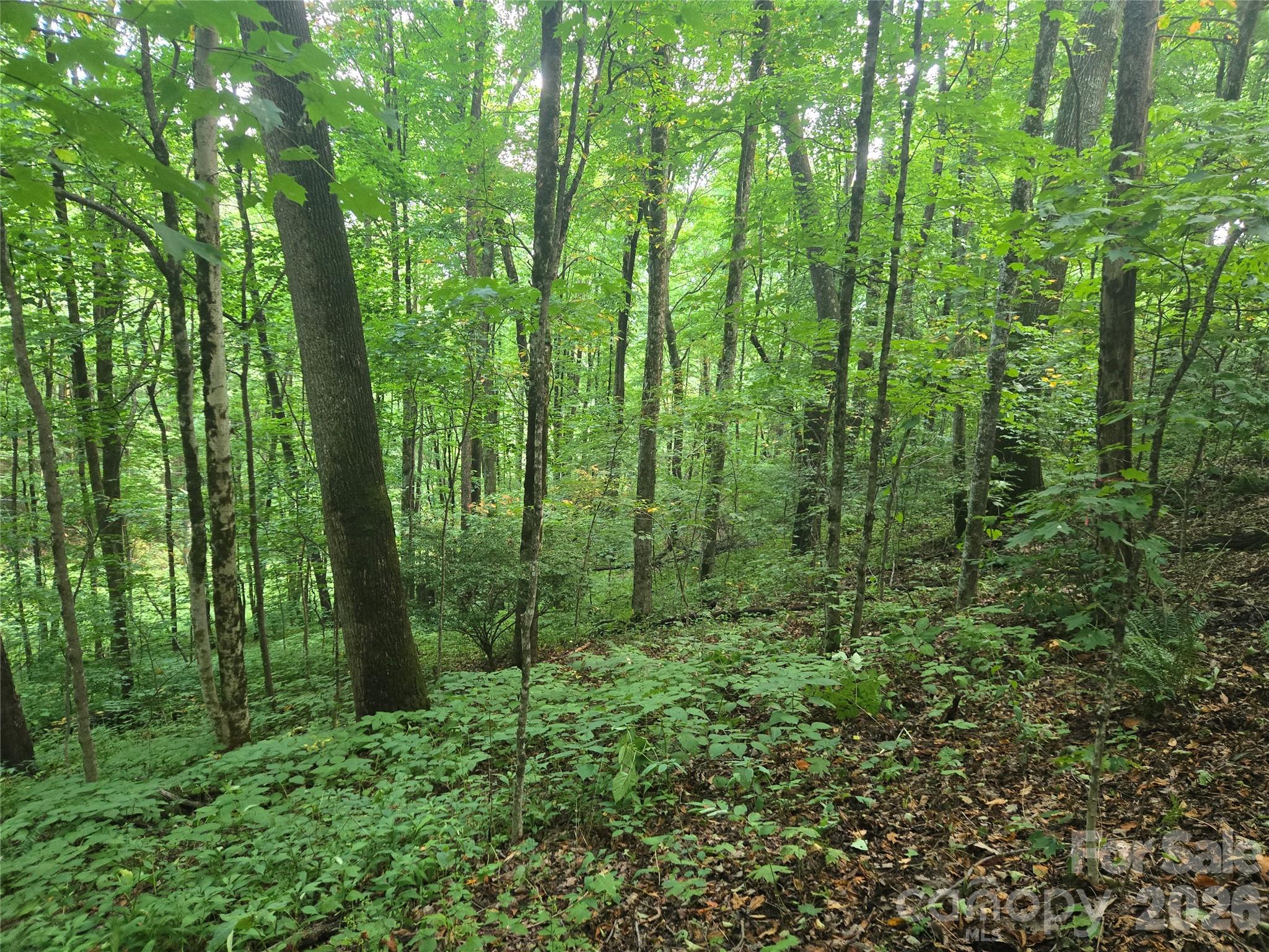 000 Rosemount Road Property Photo 1