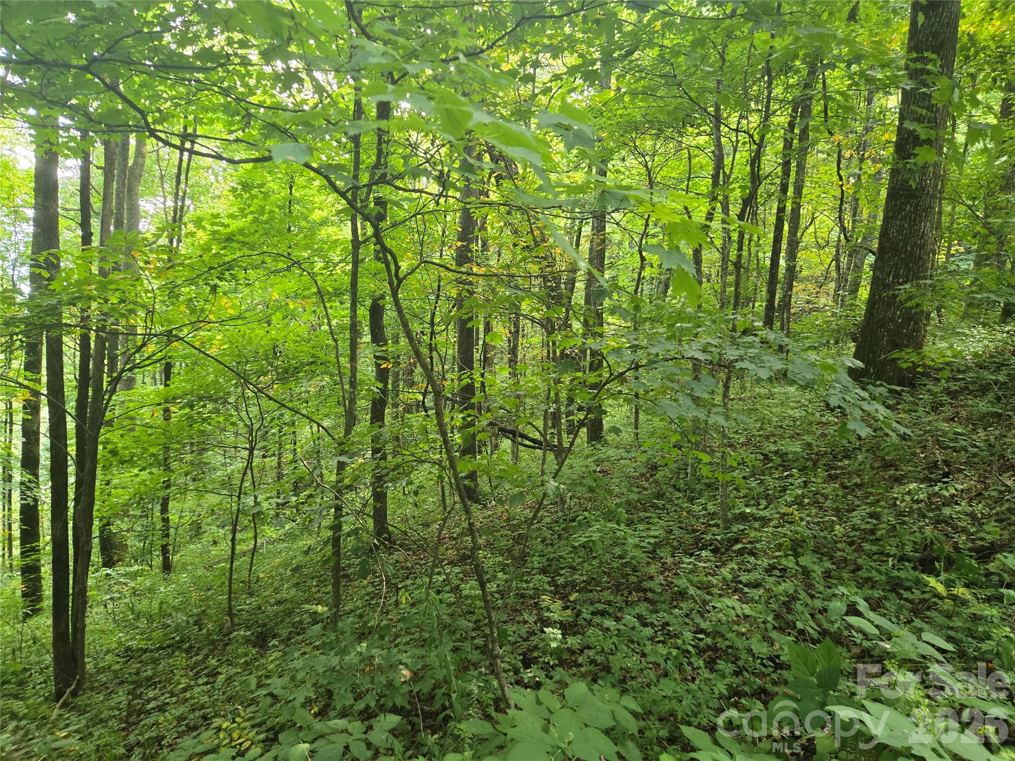 000 Rosemount Road Property Photo 2