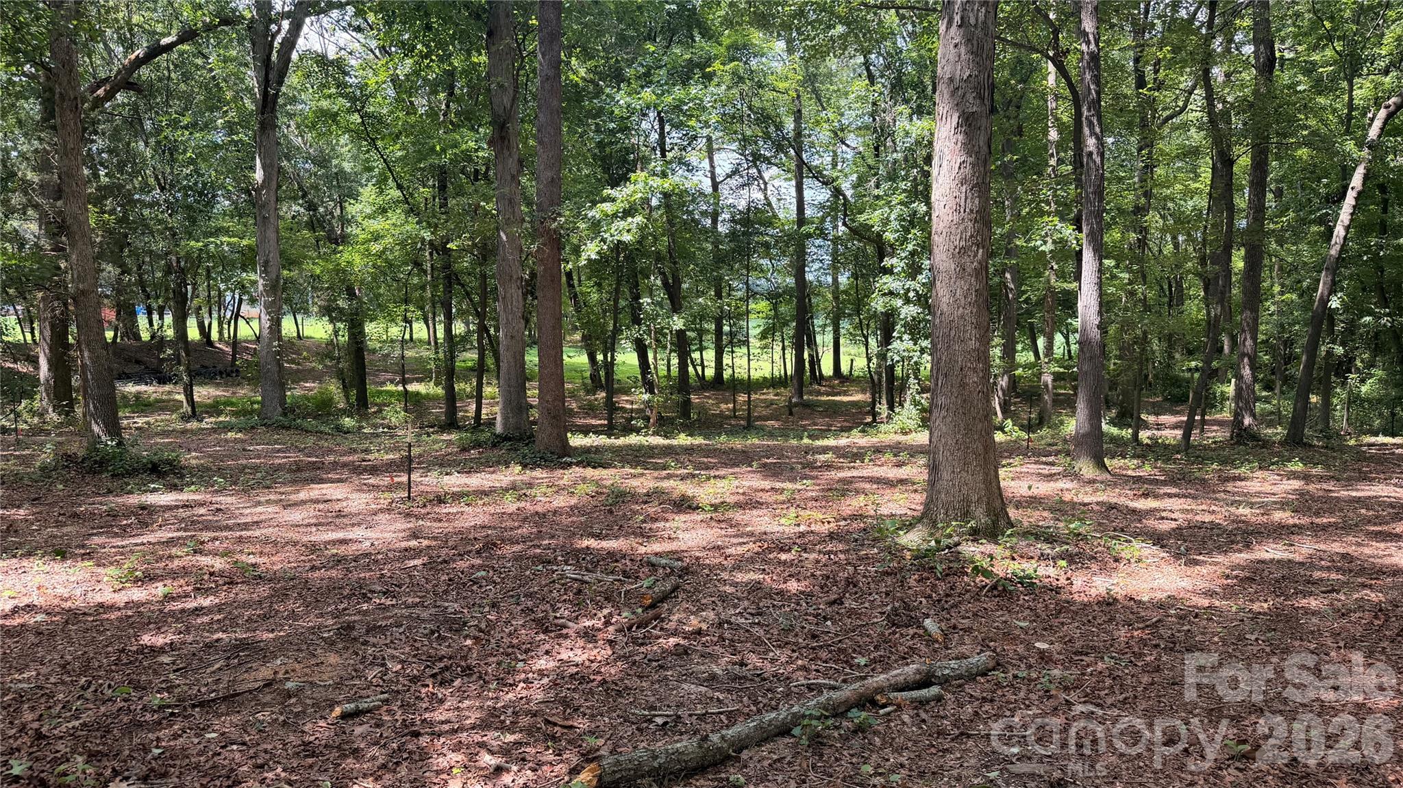 6311 Old Pageland Marshville Road Property Photo 39