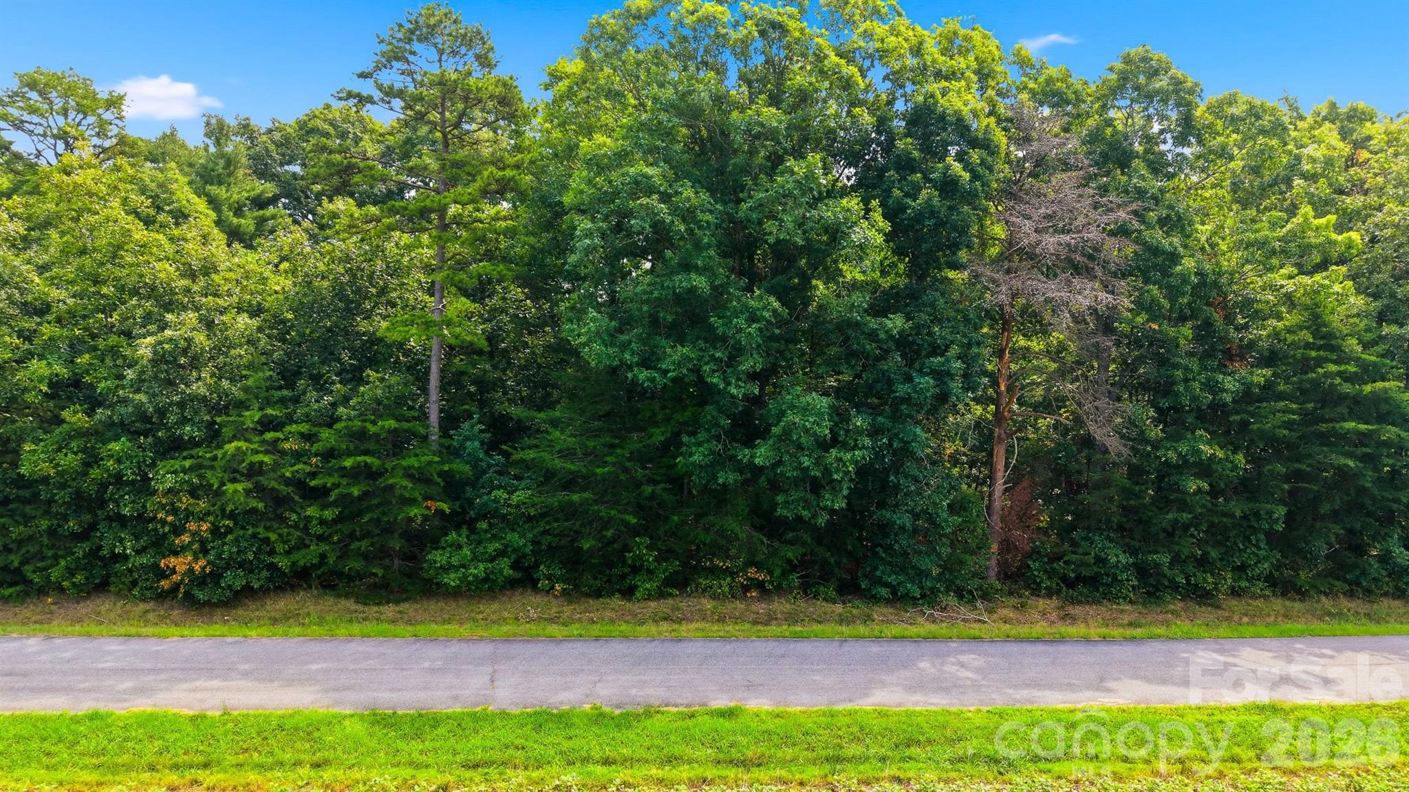 O Luther Scronce Road Property Photo 4