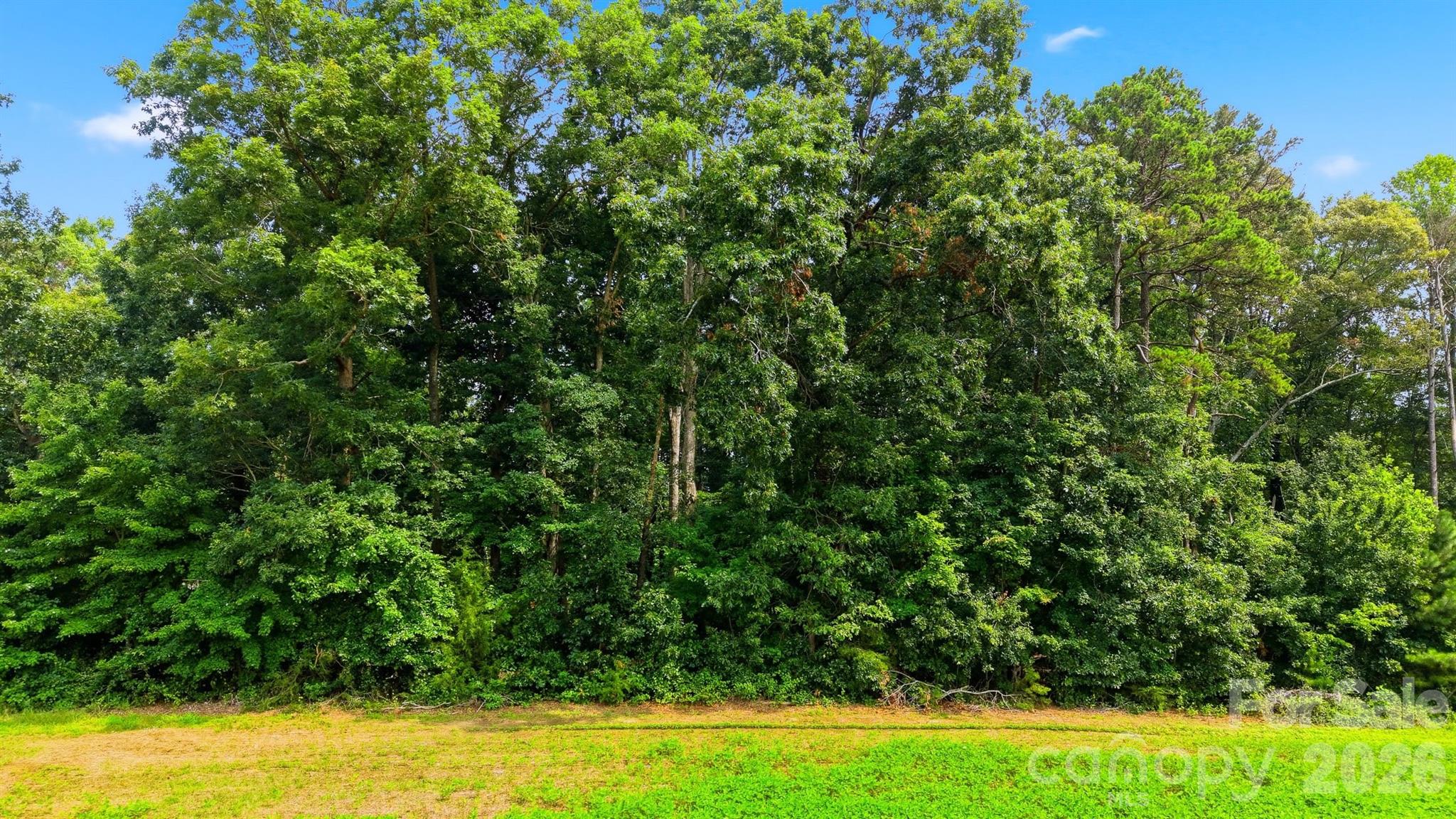 O Luther Scronce Road Property Photo 5