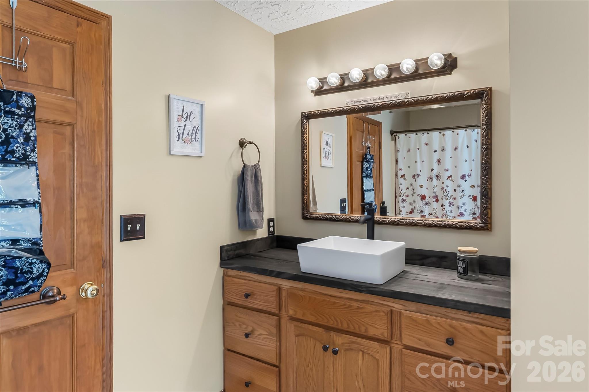 313 Springwood Drive Property Photo 25