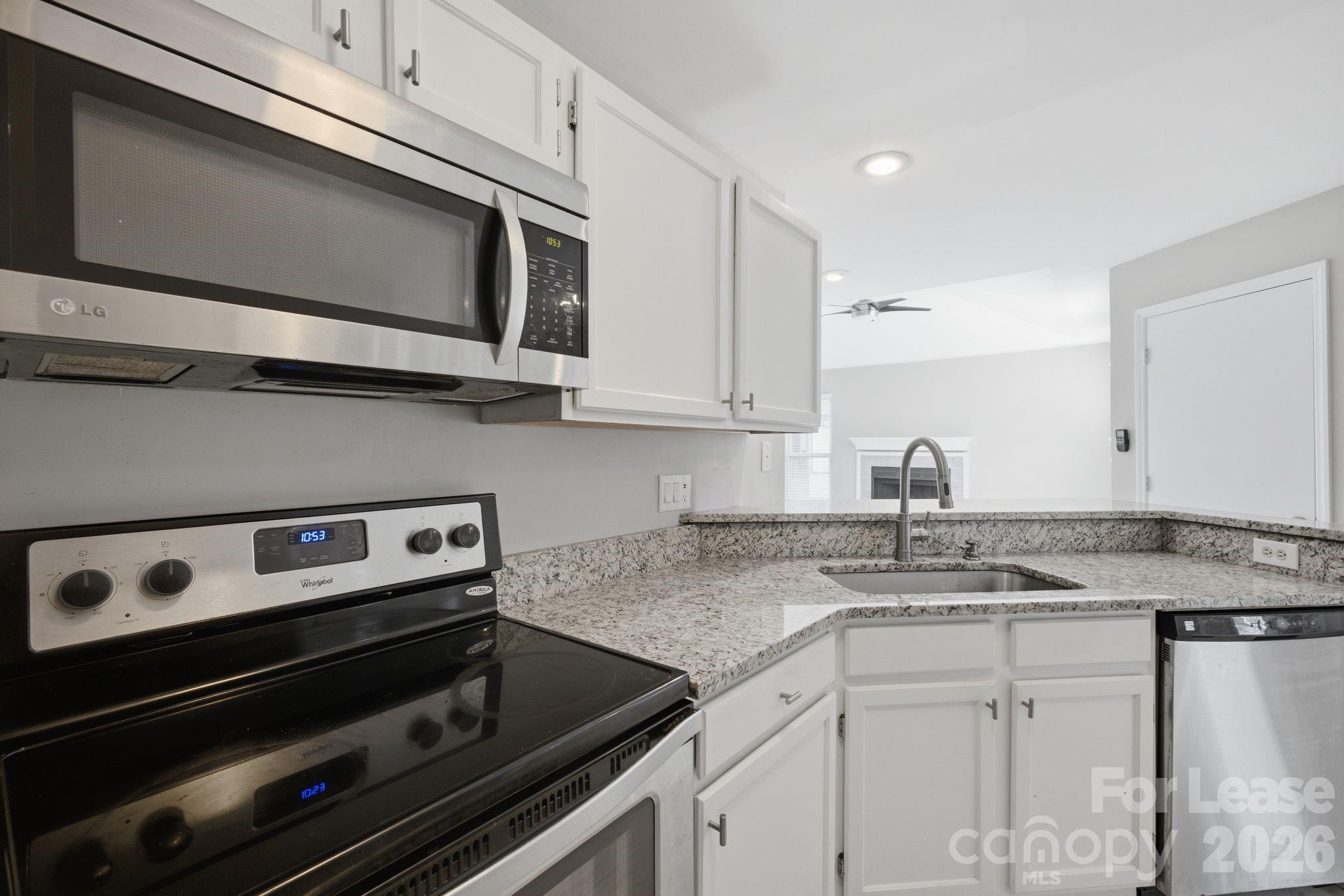 18841 Vineyard Point Lane Property Photo 8