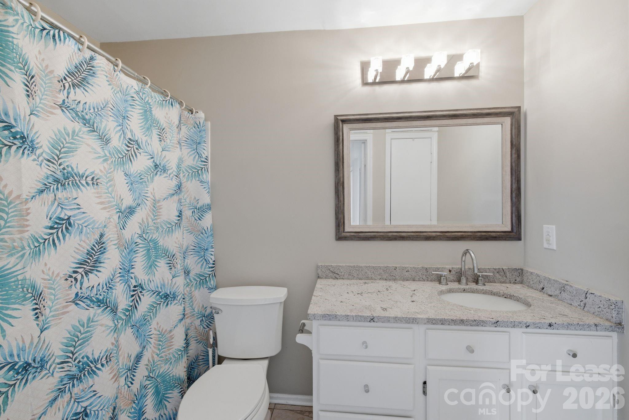 18841 Vineyard Point Lane Property Photo 17