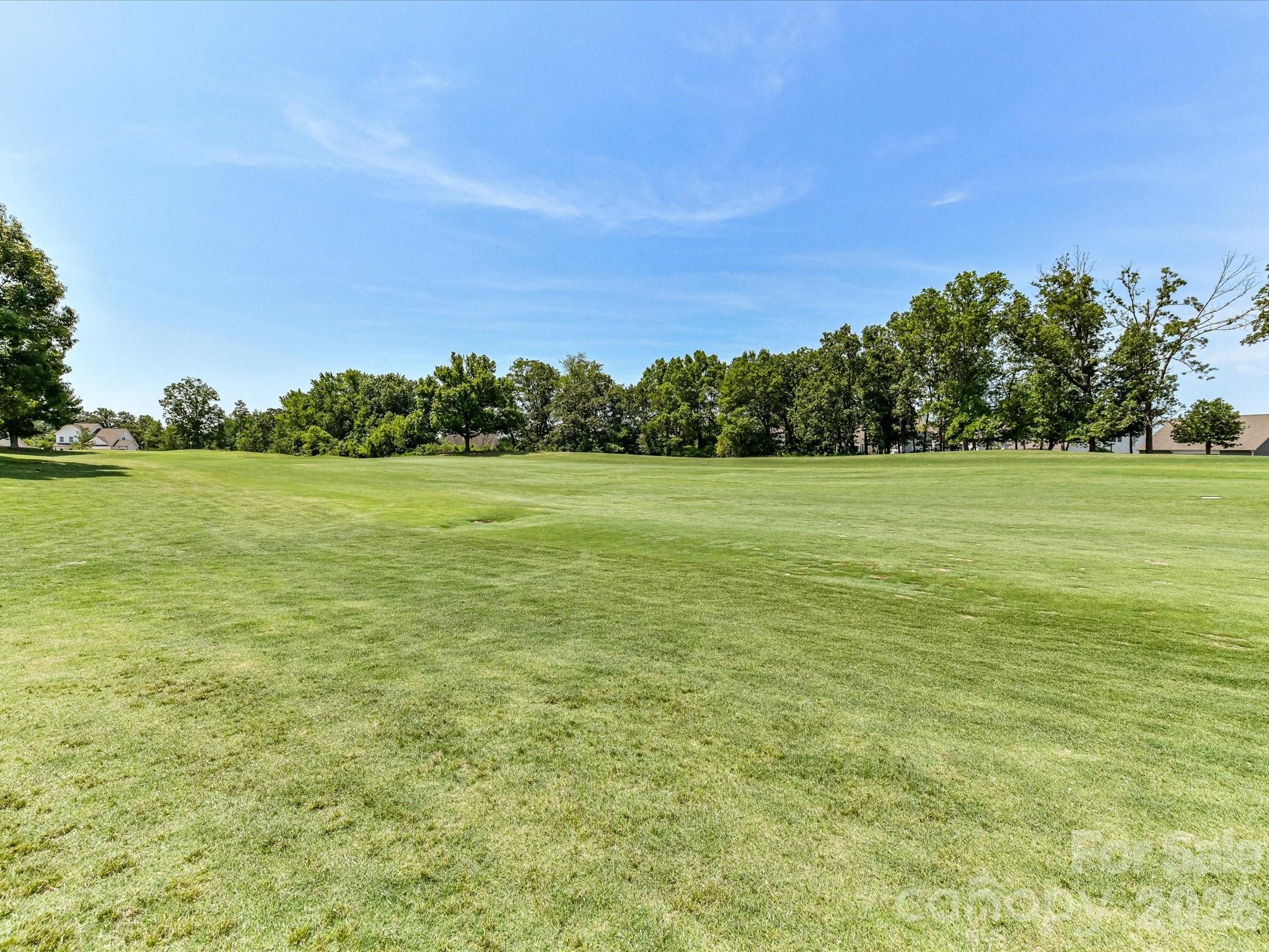 1139 Stone Marker Drive Property Photo 6