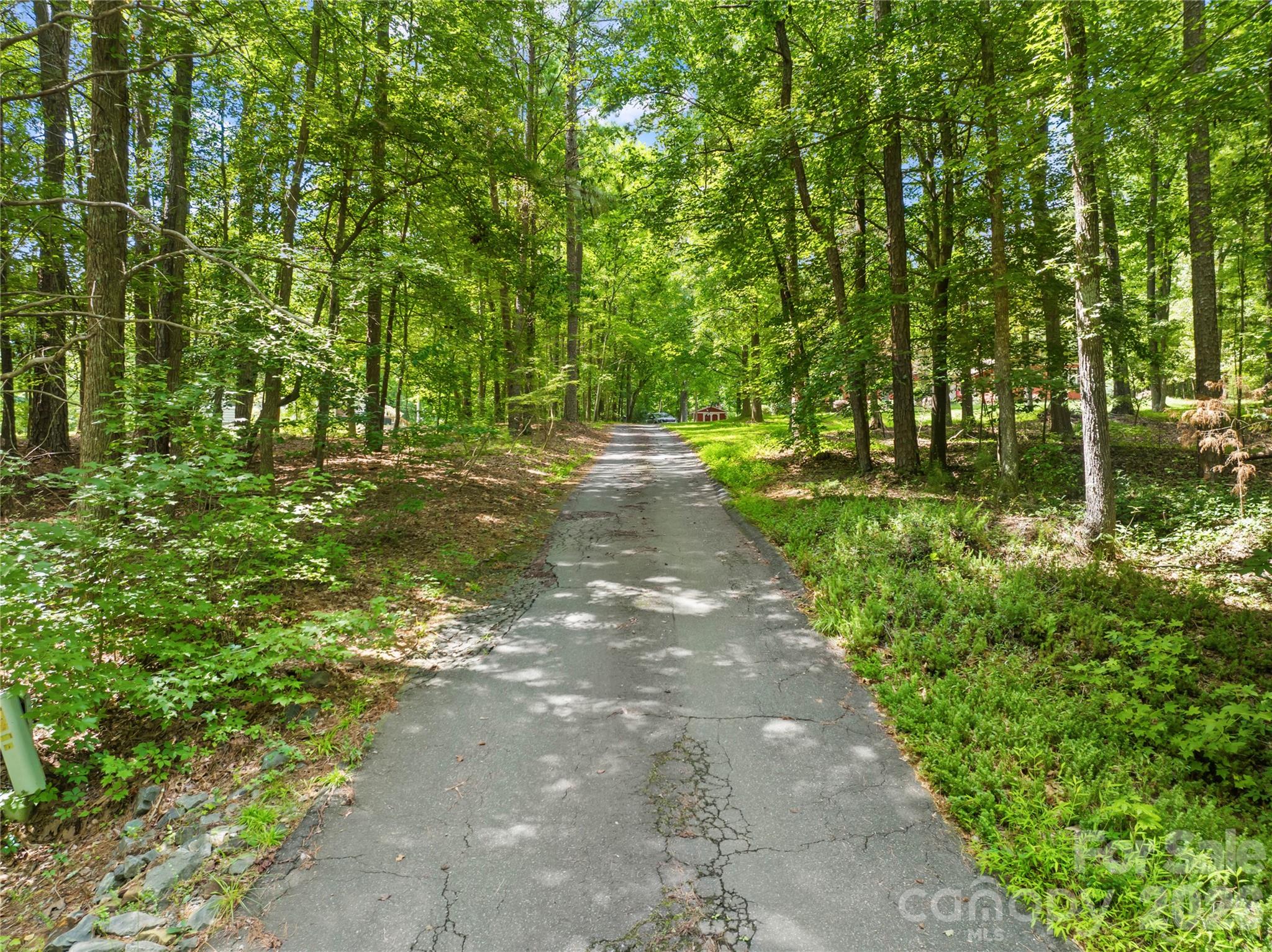 3406 Red Fox Trail Property Photo 24