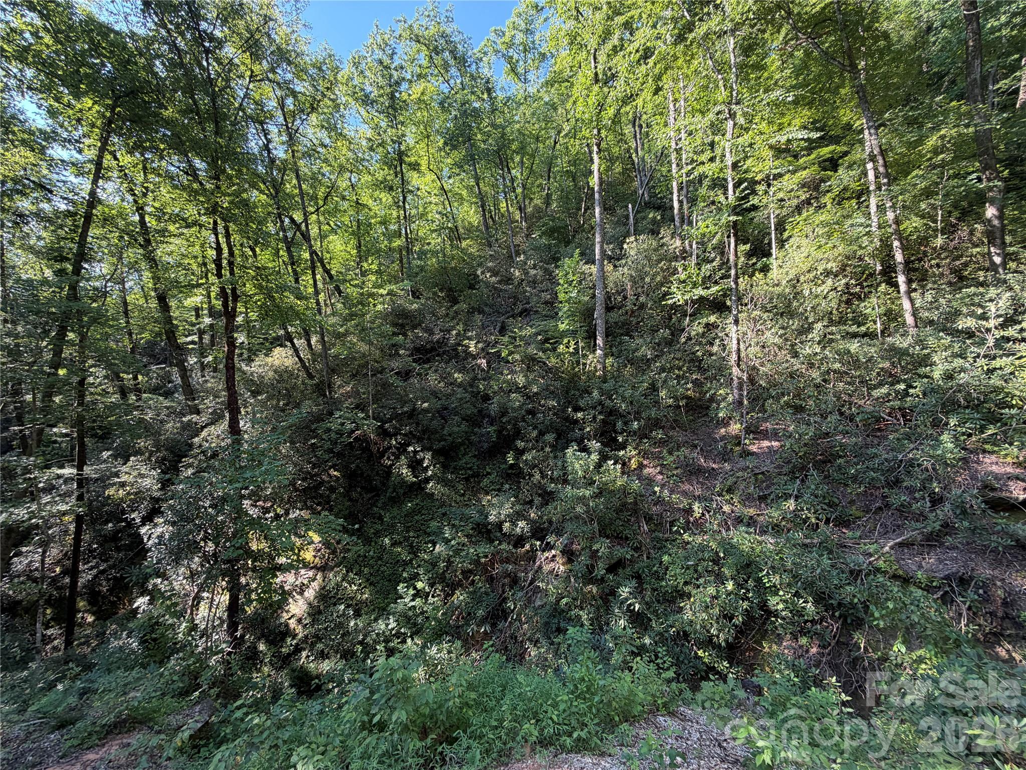 267 Cedar Falls Drive 7 Property Photo 6