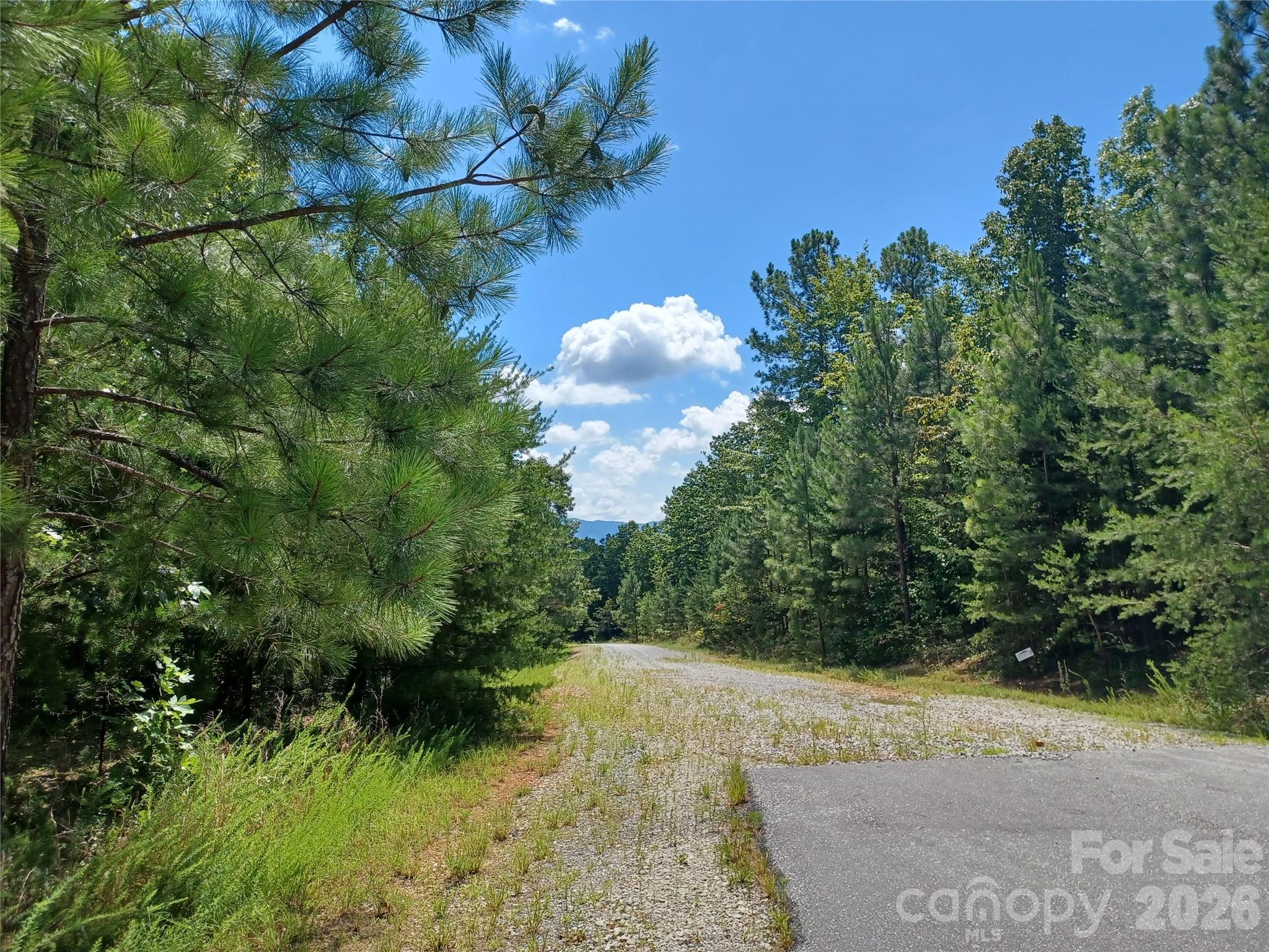 31 Hull Avenue Property Photo 9