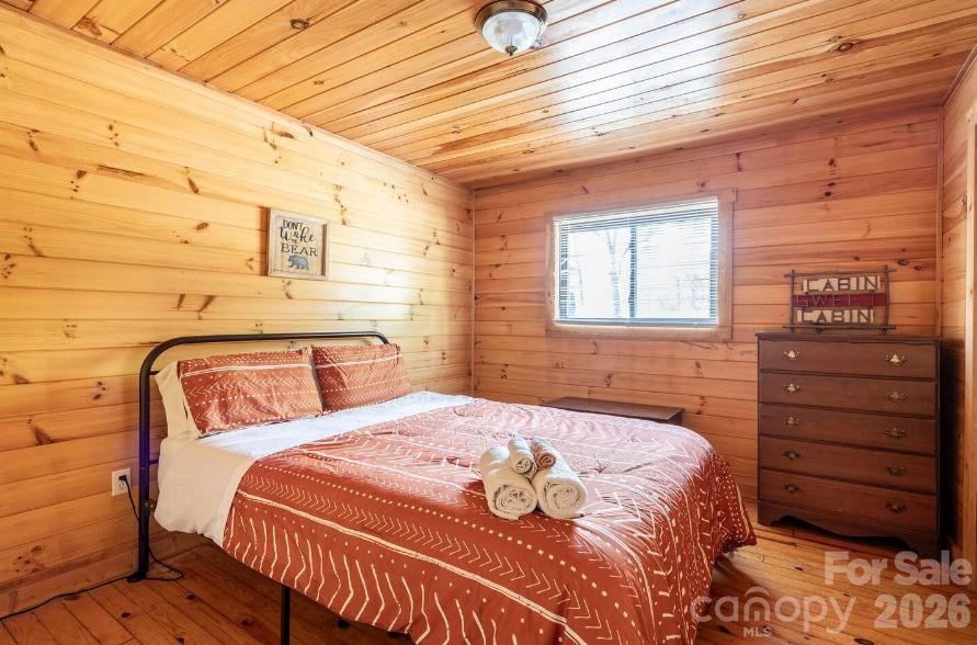 295 Blue Ridge Parkway Property Photo 9