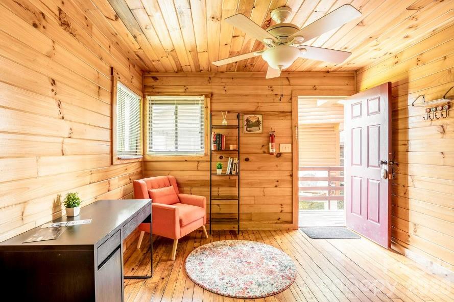 295 Blue Ridge Parkway Property Photo 10
