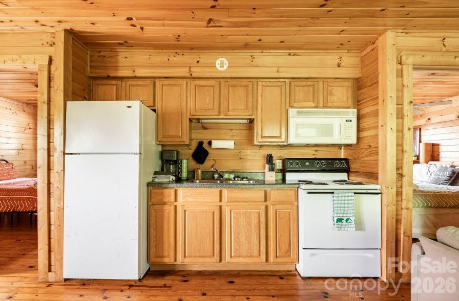 295 Blue Ridge Parkway Property Photo 15