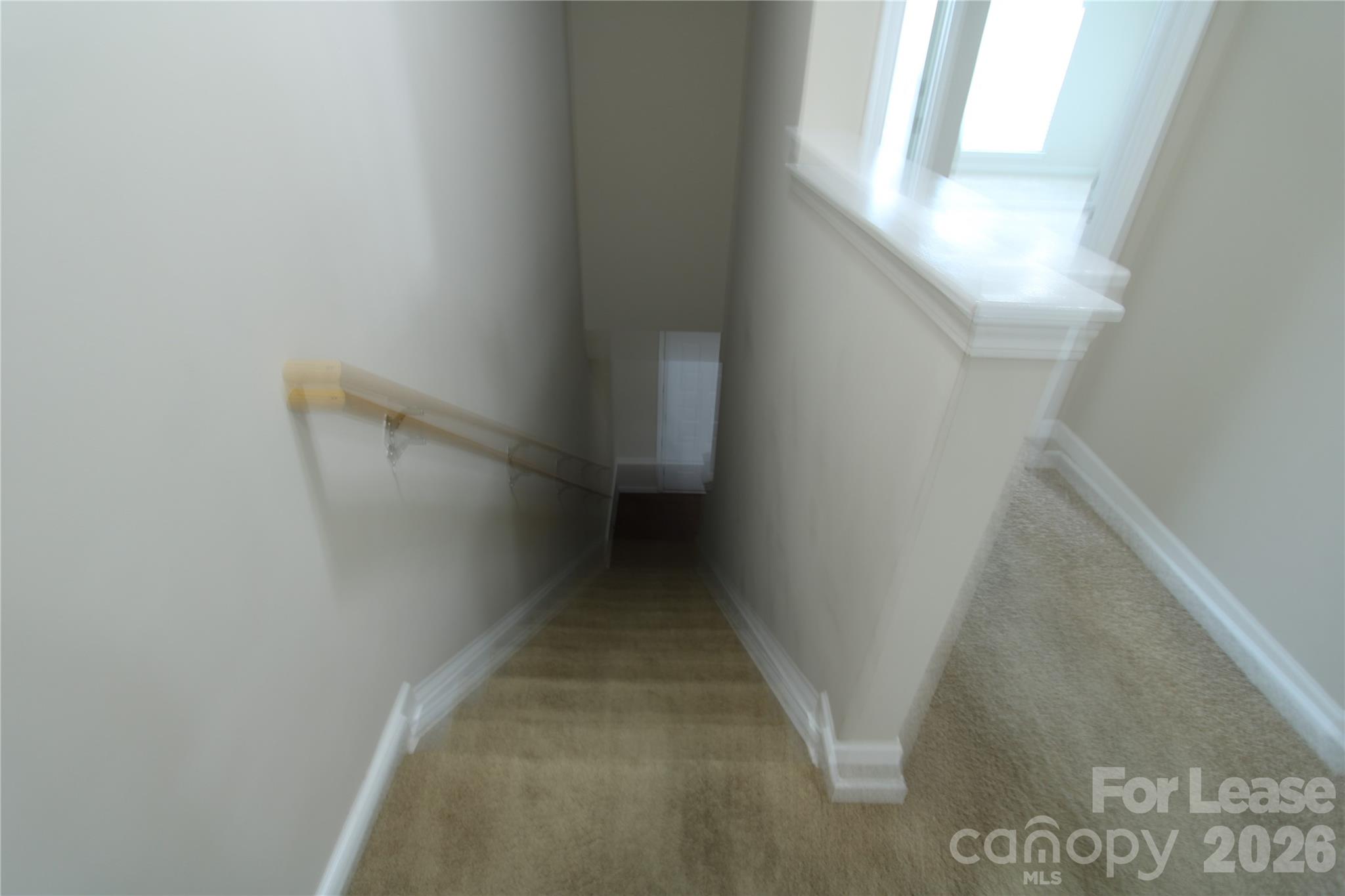 9348 Hamel Street Property Photo 35