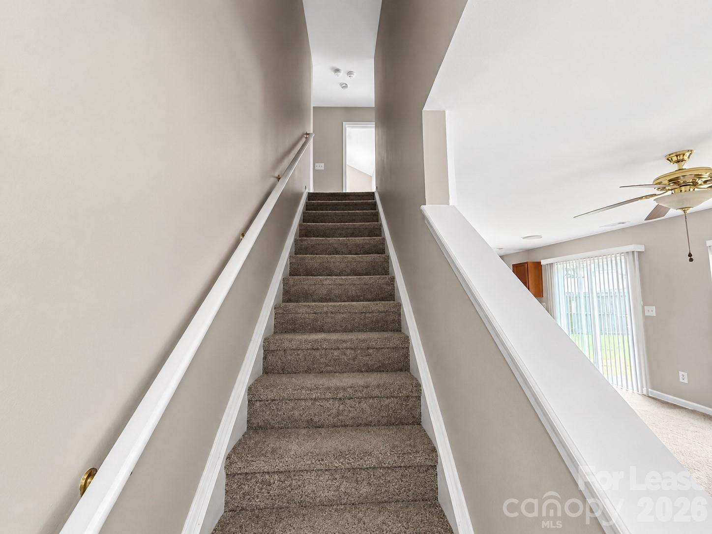 1111 Delander Lane Property Photo 5