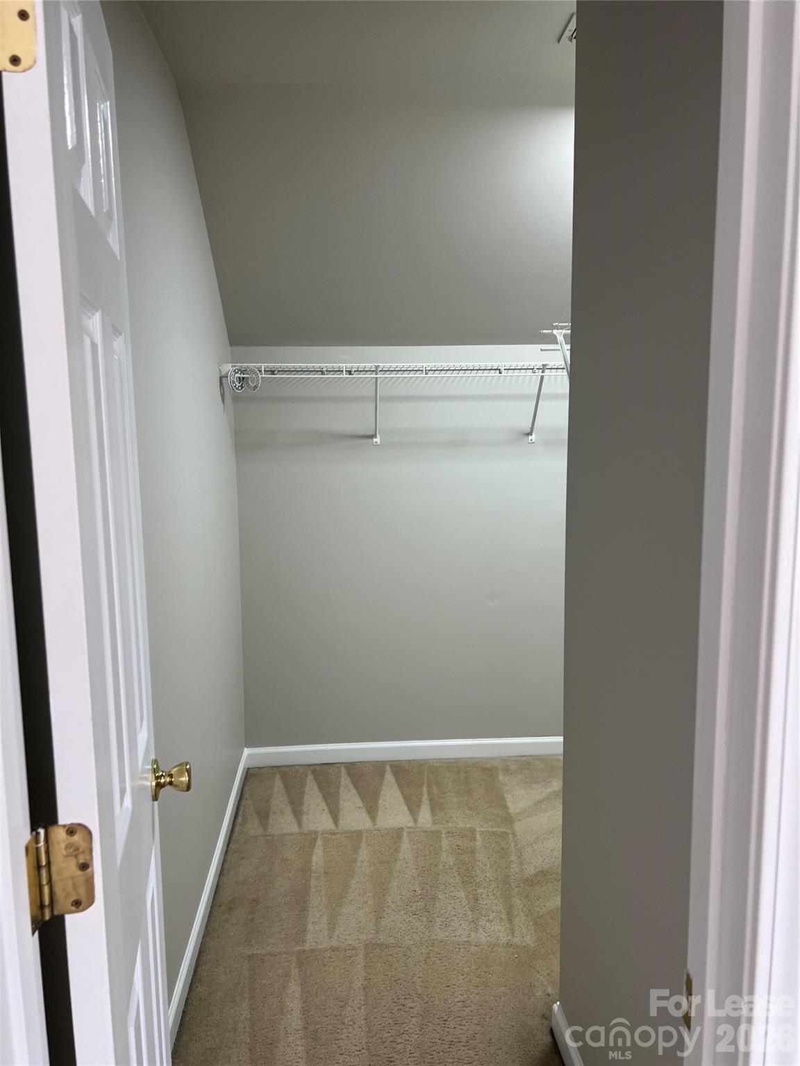 1111 Delander Lane Property Photo 10