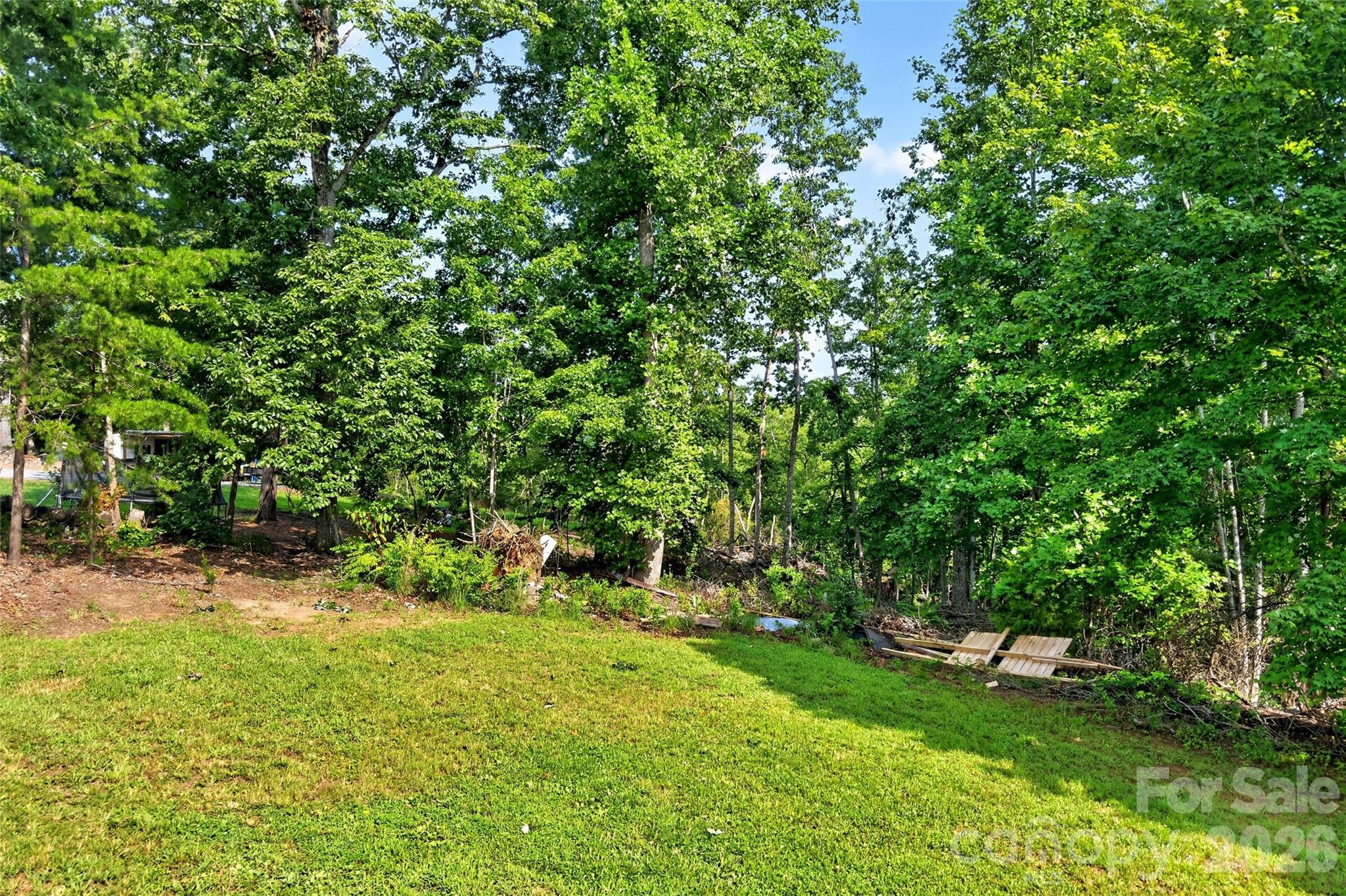 248 Chestnut Oak Forest Drive Property Photo 41