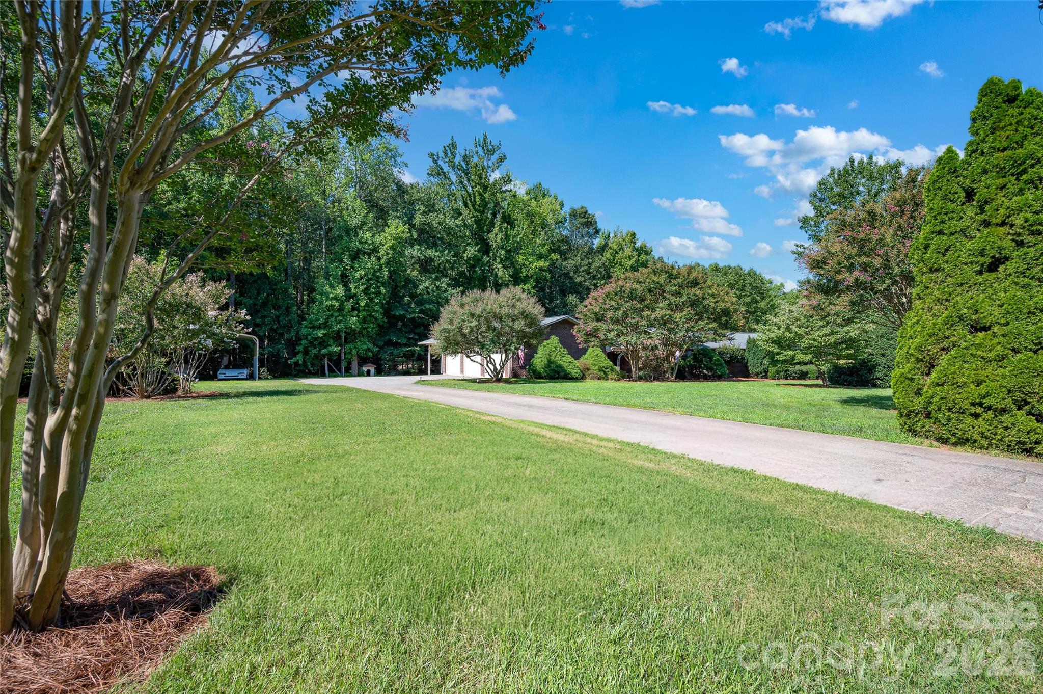3959 Holly Springs Drive Property Photo 6