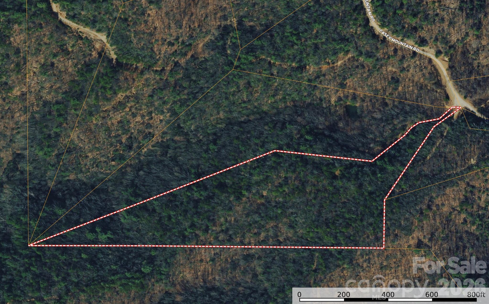 Tbd Casey Mountain Road 222 Property Photo 1