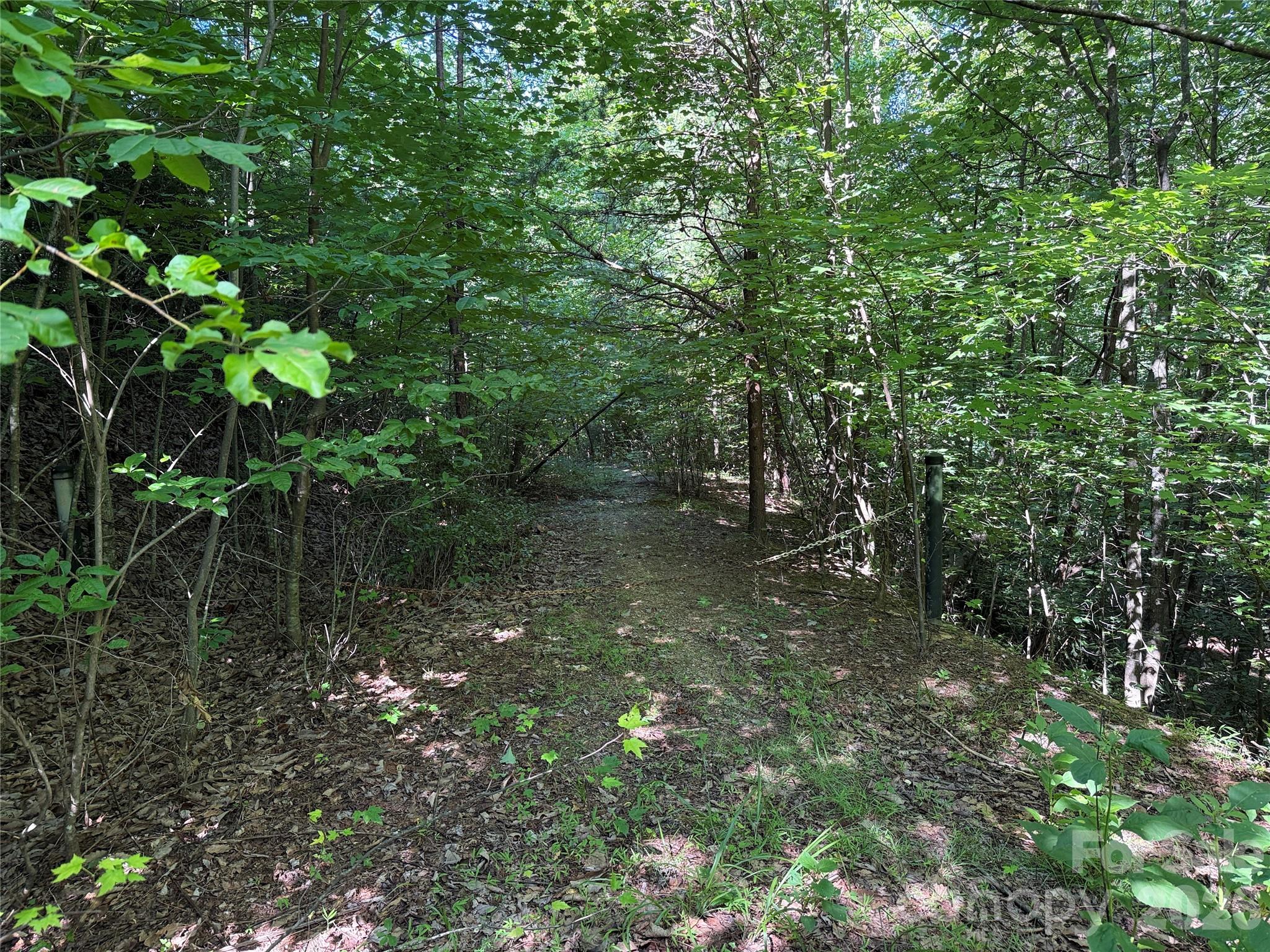 Tbd Casey Mountain Road 222 Property Photo 3