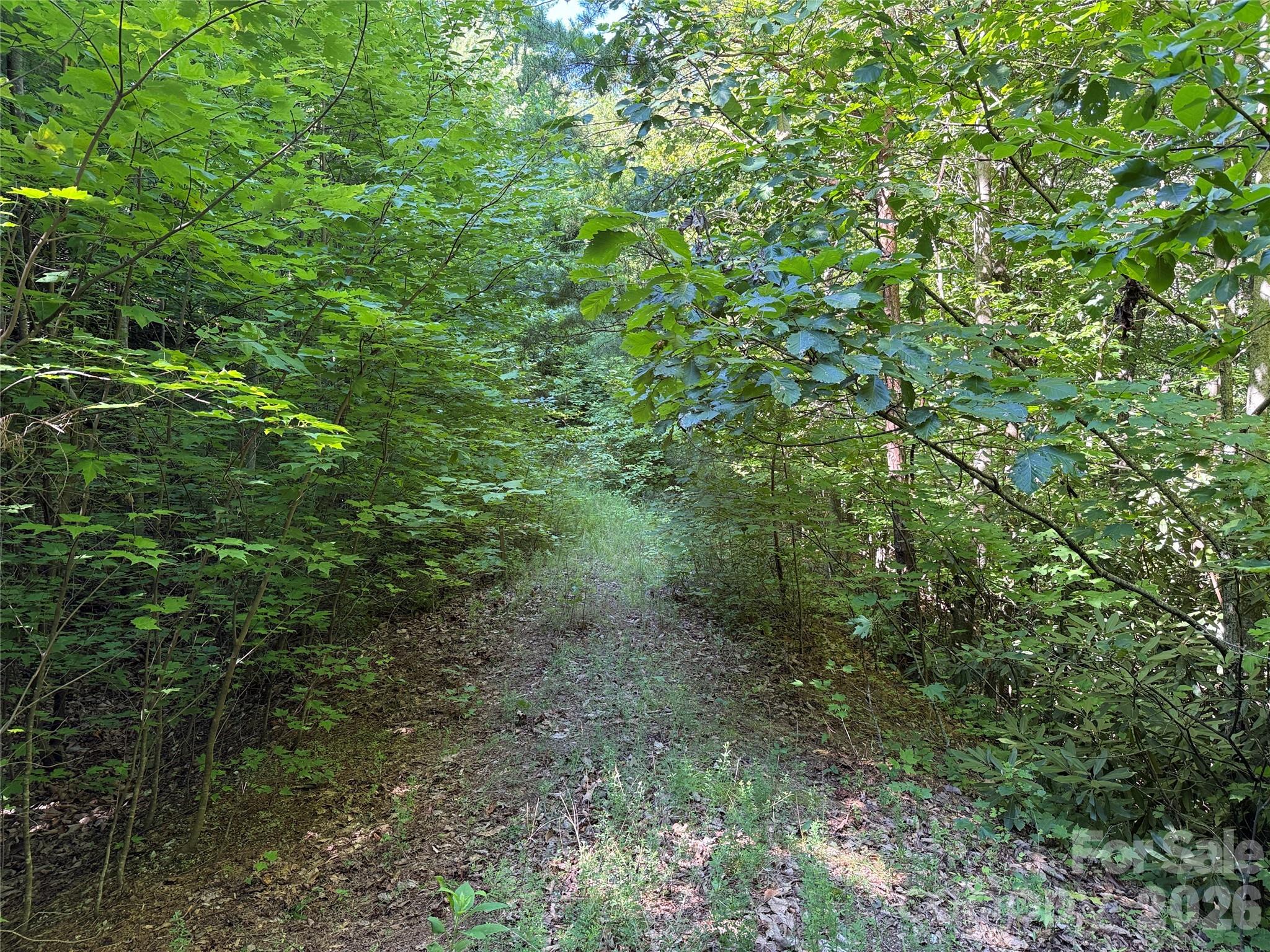 Tbd Casey Mountain Road 222 Property Photo 4
