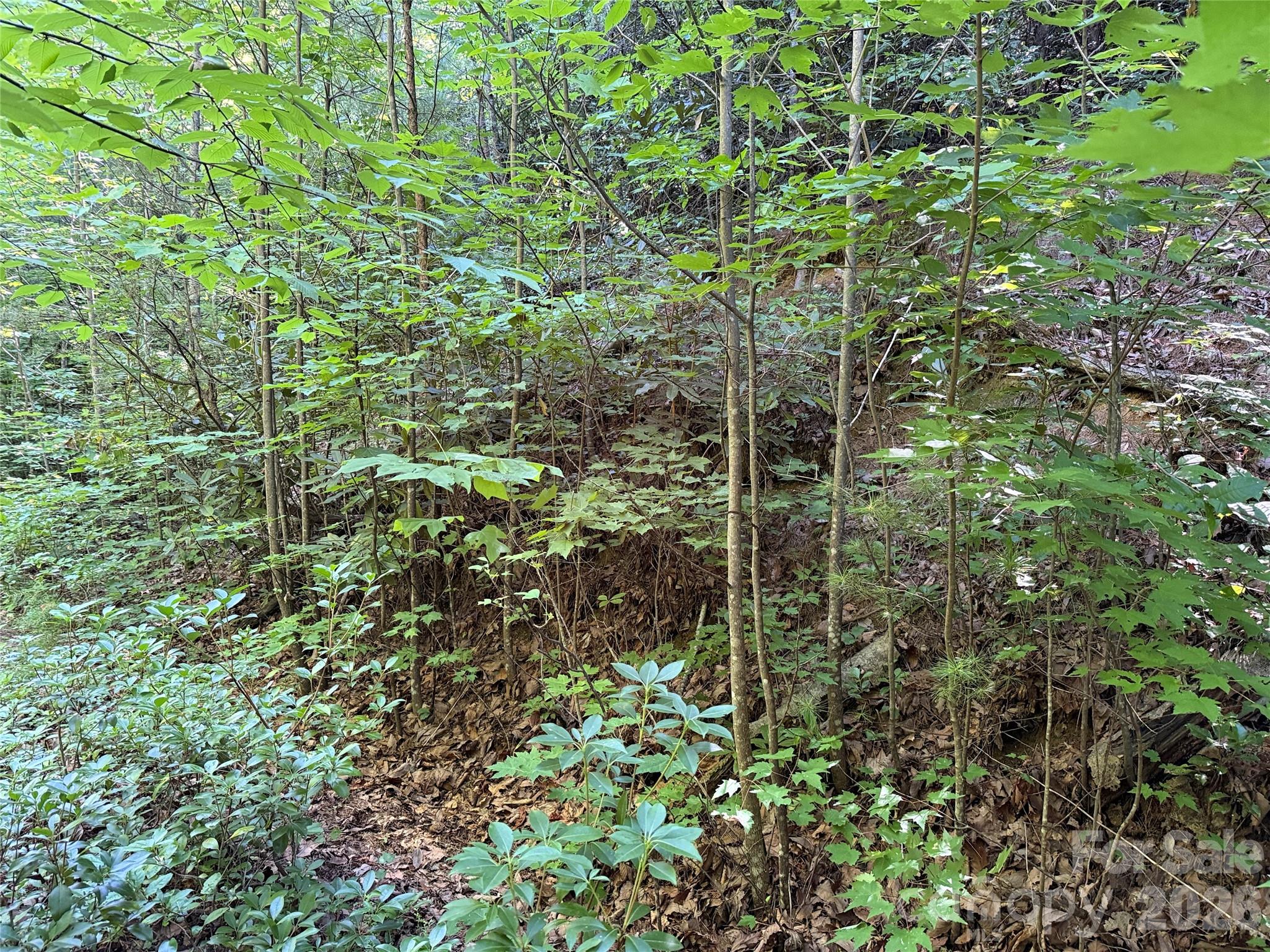 Tbd Casey Mountain Road 222 Property Photo 5