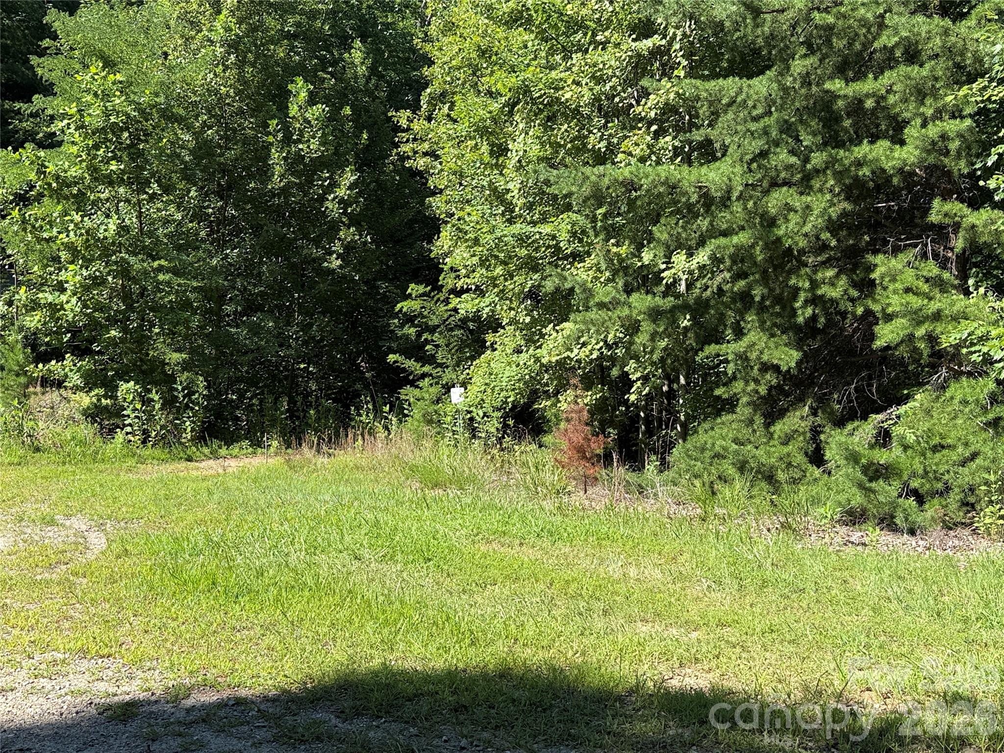 Tbd Casey Mountain Road 222 Property Photo 6