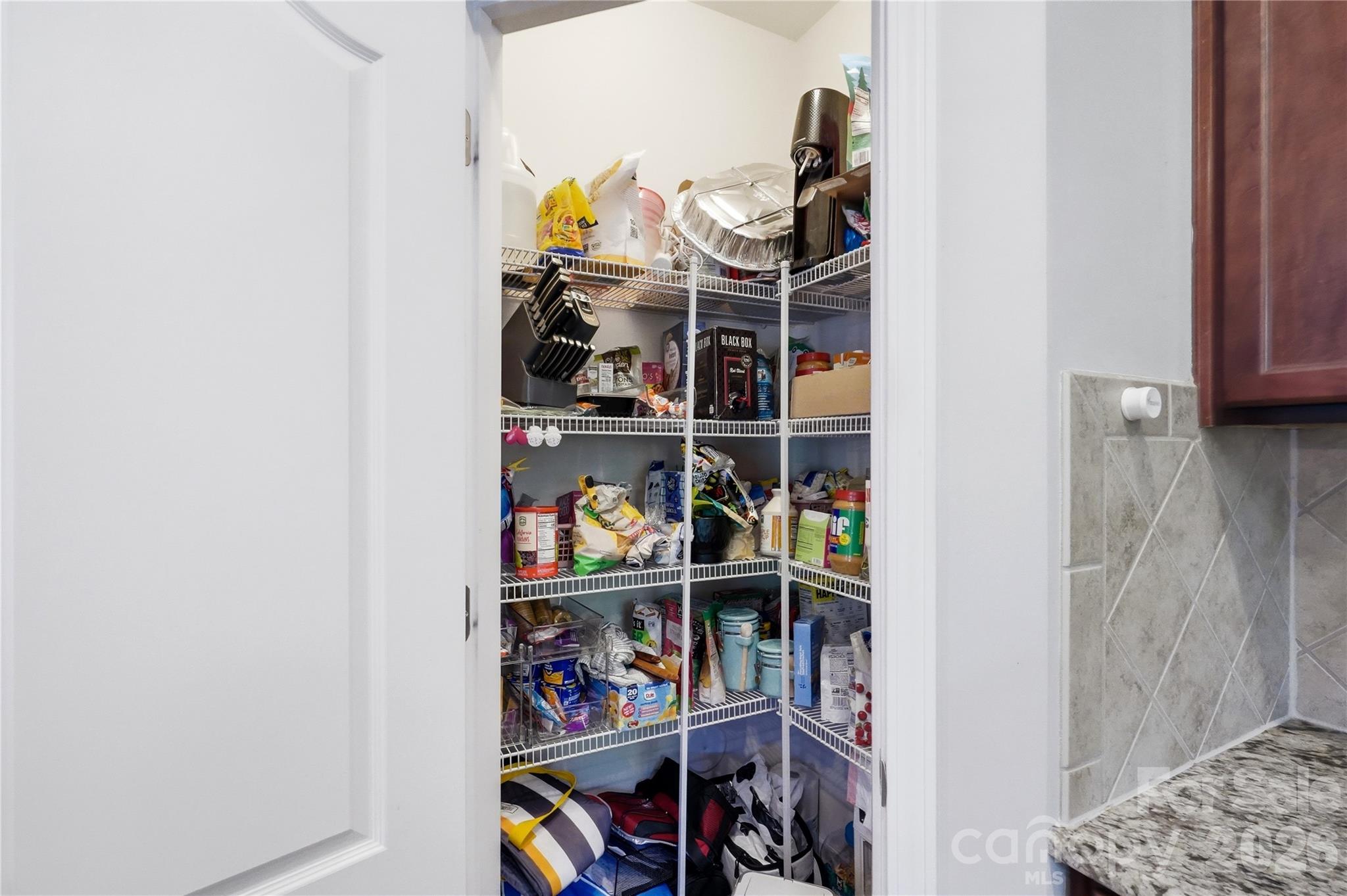 10690 Sapphire Trail Property Photo 18