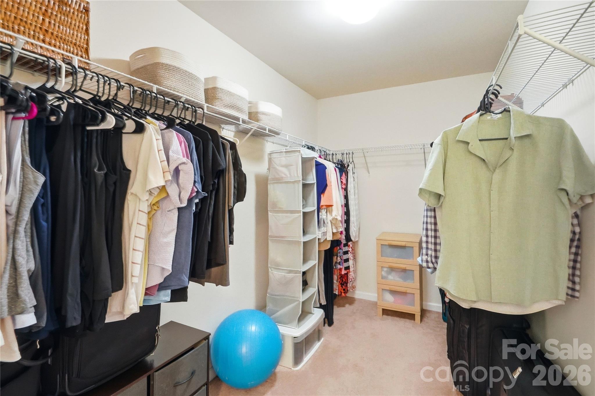 10690 Sapphire Trail Property Photo 27
