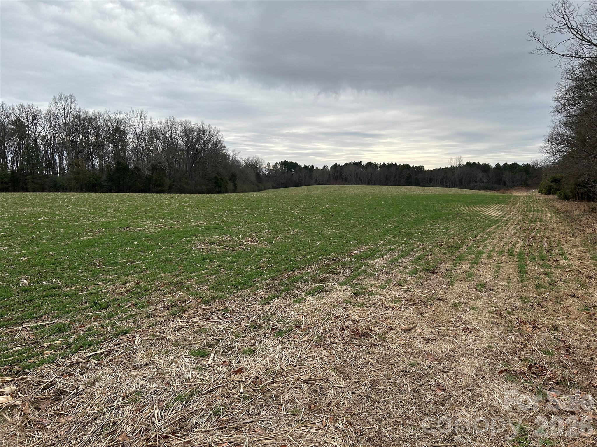 1440-2 Carl Taylor Road Property Photo 2