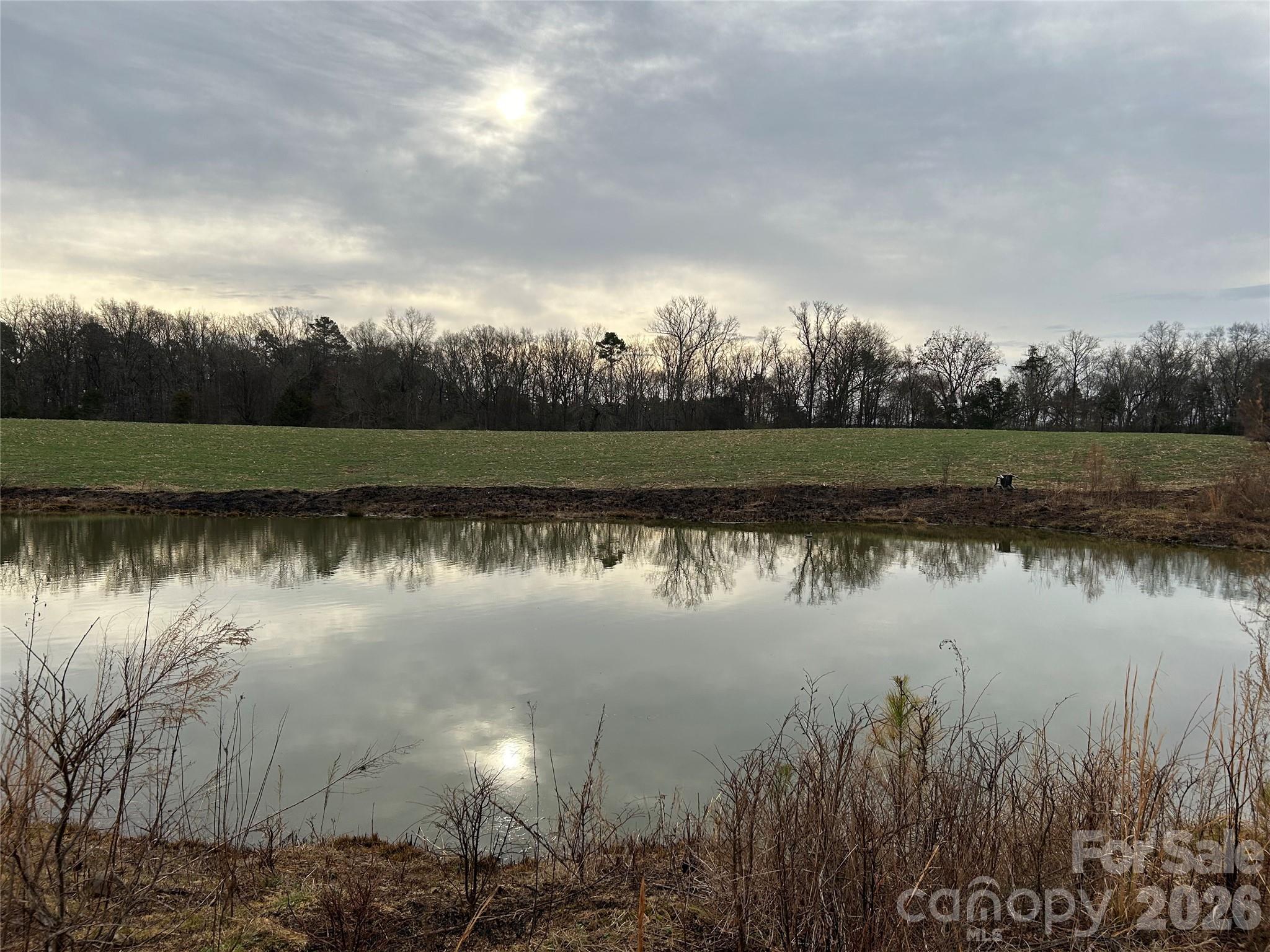 1440-2 Carl Taylor Road Property Photo 5