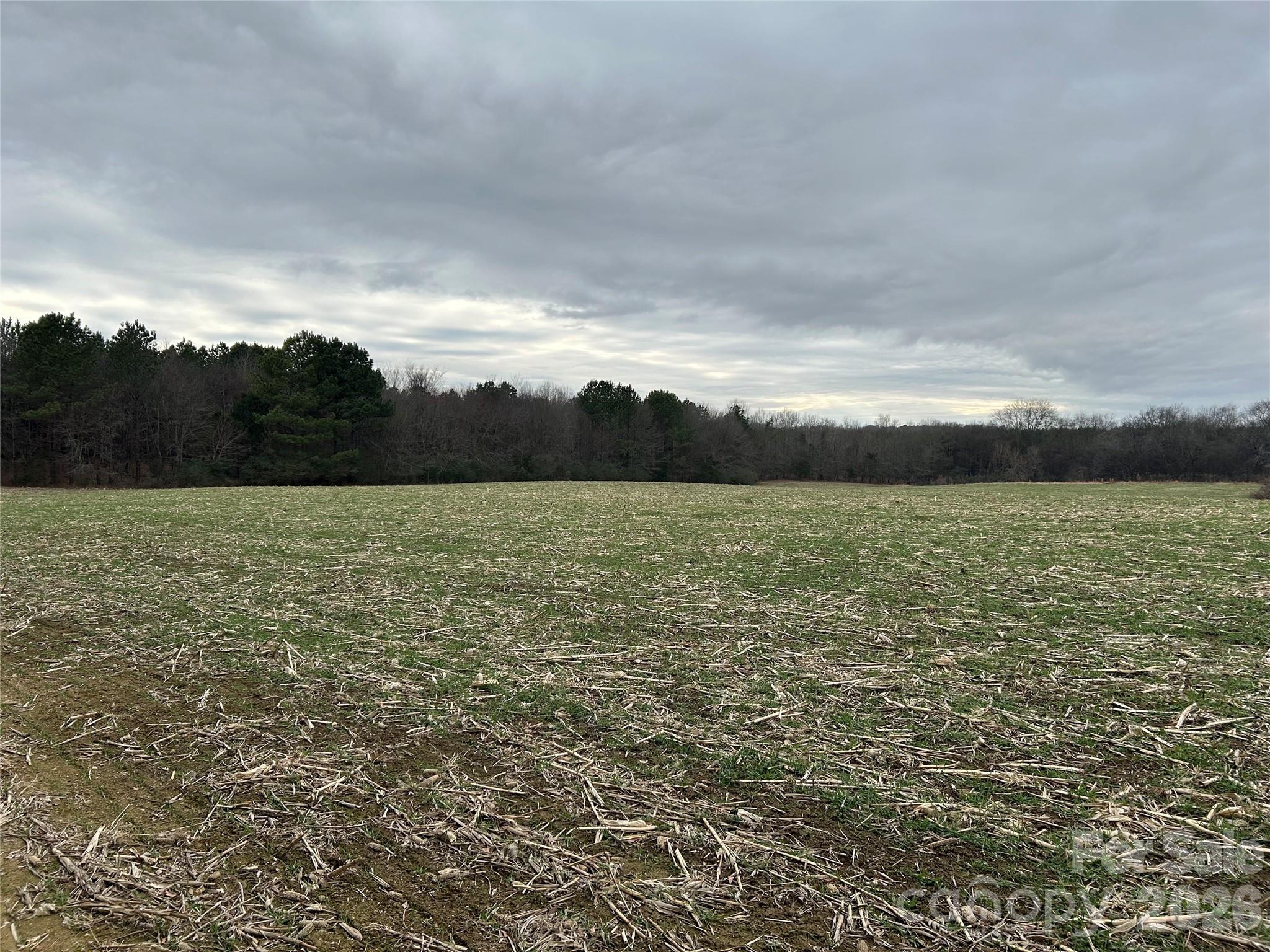 1440-2 Carl Taylor Road Property Photo 6