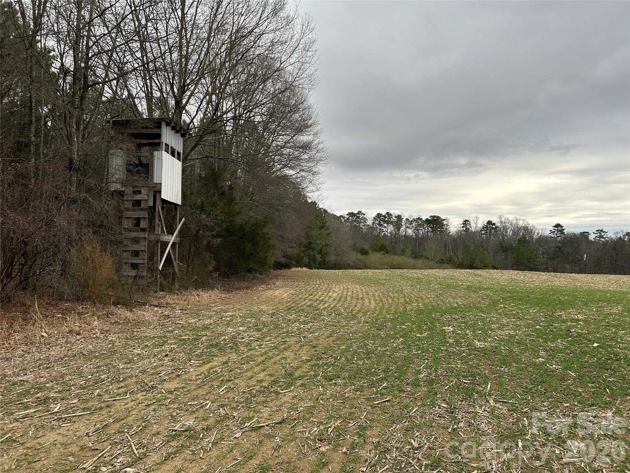 1440-2 Carl Taylor Road Property Photo 11