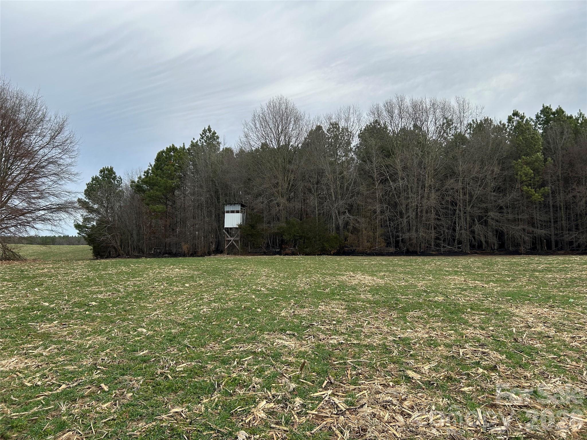 1440-2 Carl Taylor Road Property Photo 12