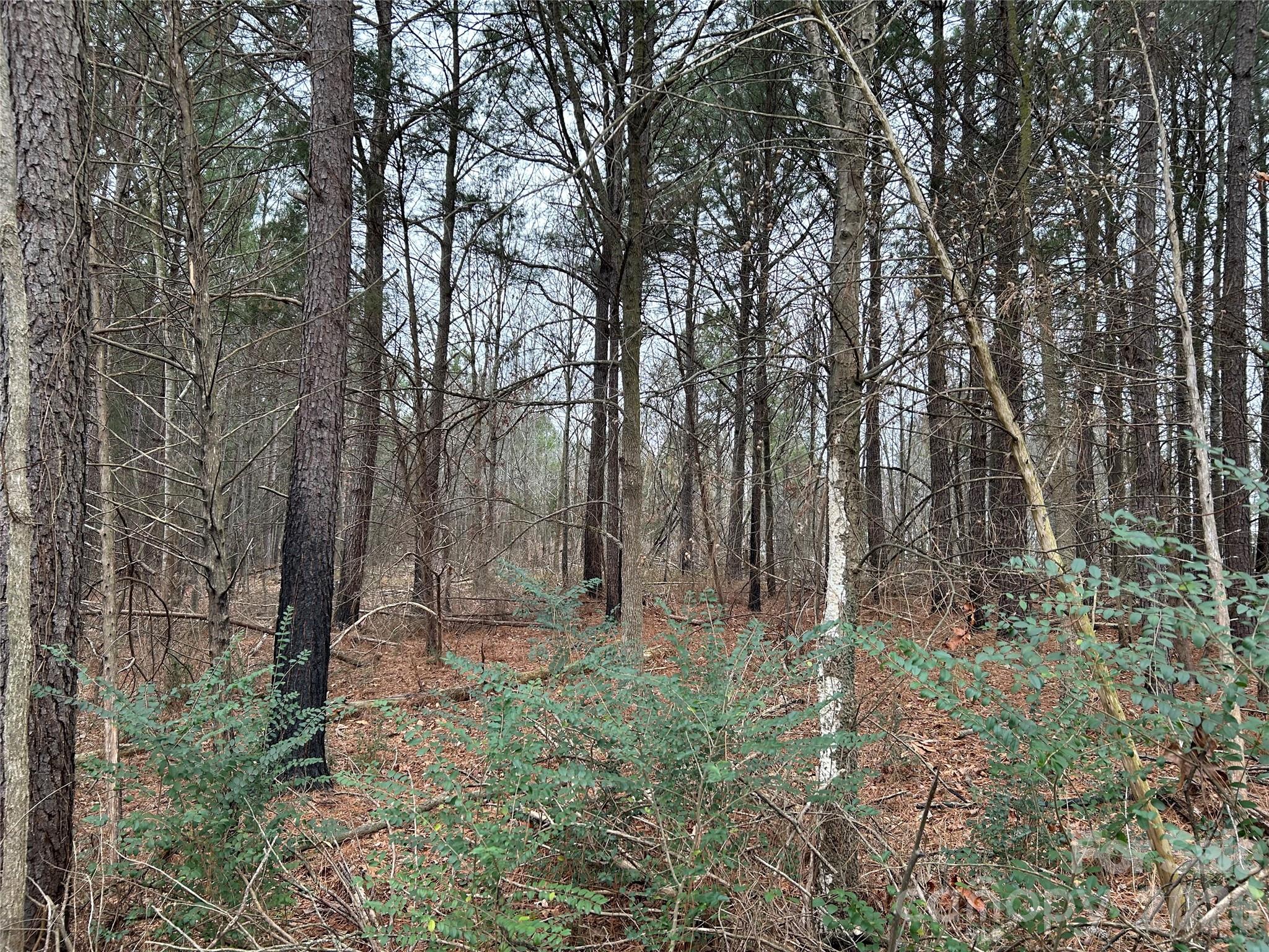 1440-2 Carl Taylor Road Property Photo 20
