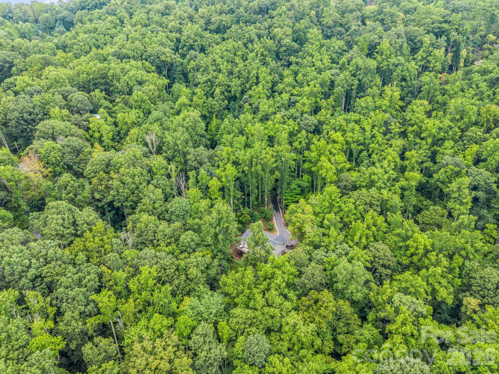 180 Ridgeview Drive Property Photo 40