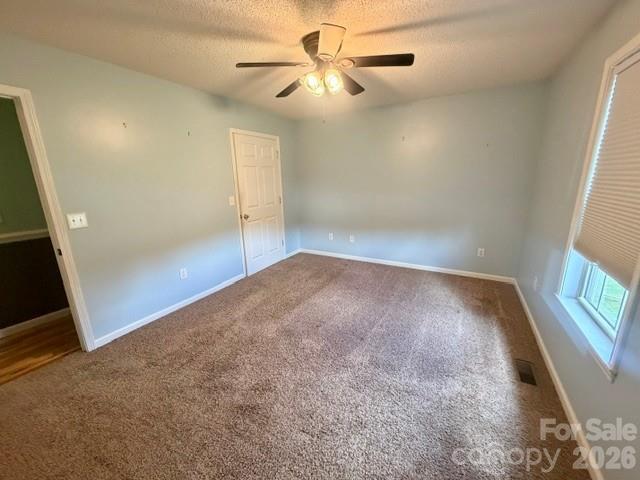 362 Mt Herman Road Property Photo 18