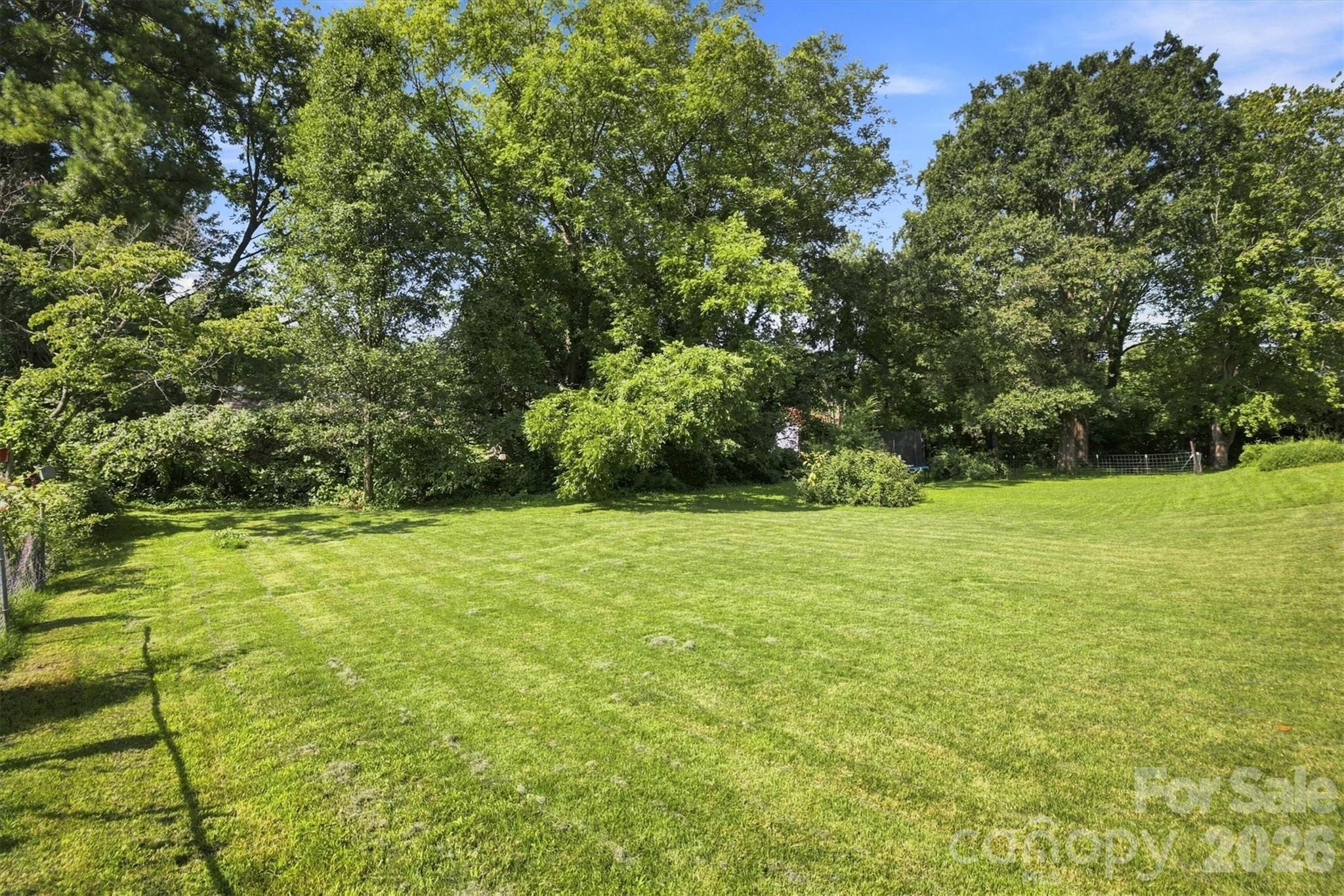 103 Park Street Property Photo 25