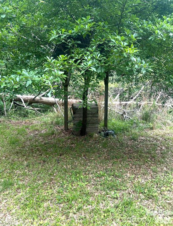 2870 Rutherford College Road Property Photo 7