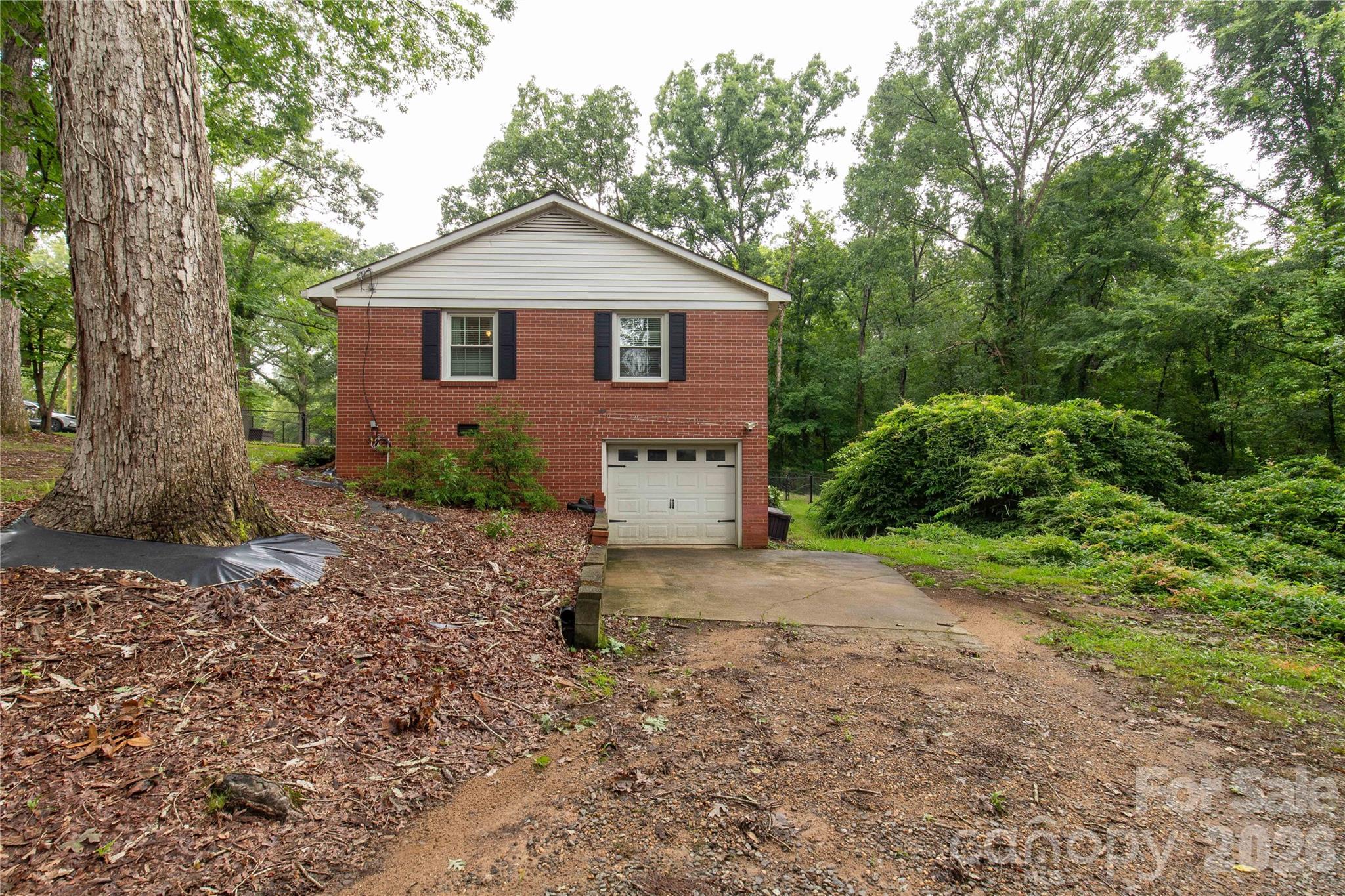938 Forest Drive Property Photo 4