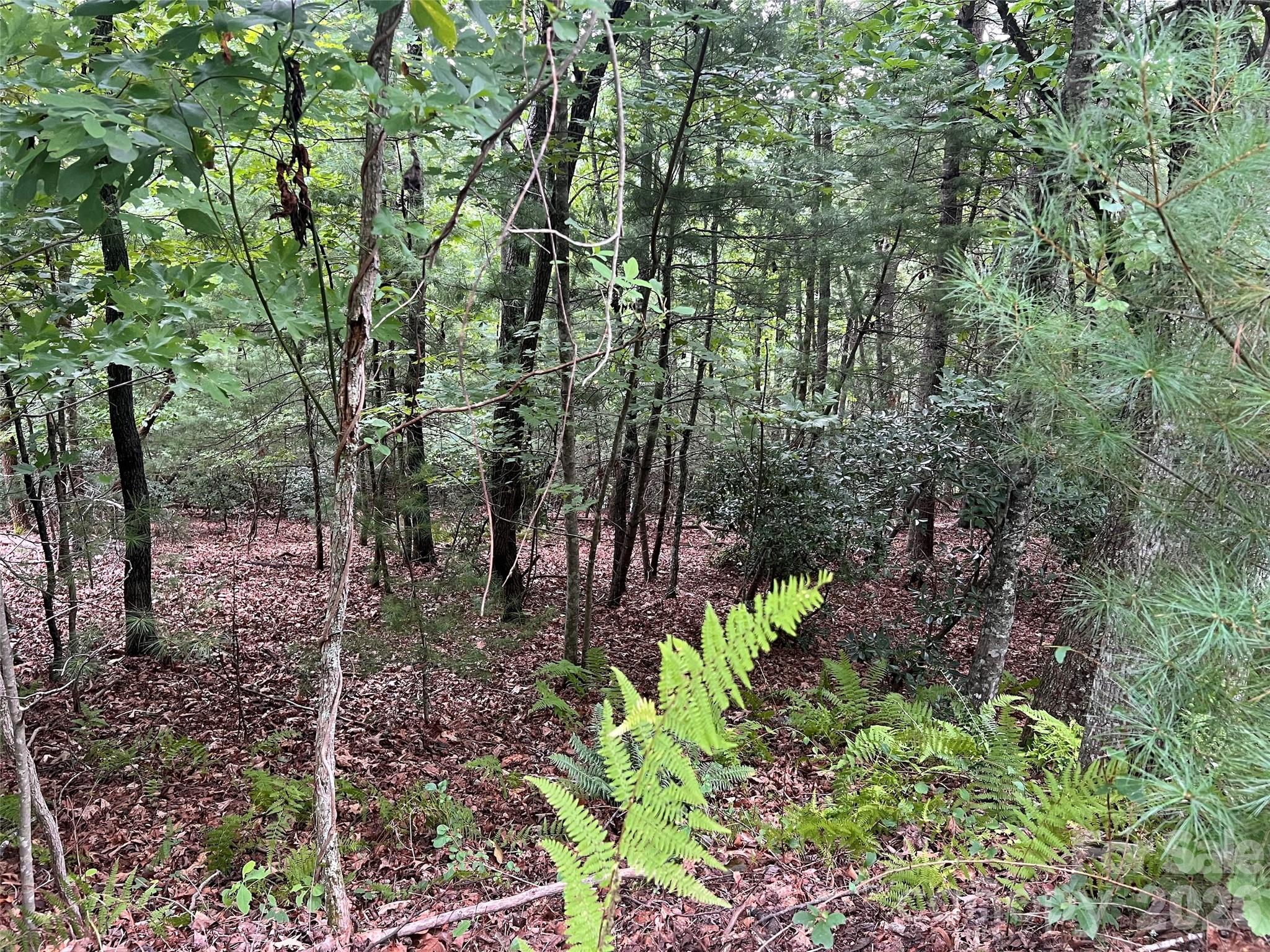 211 Tom Fazio Trace 342 Property Photo 3