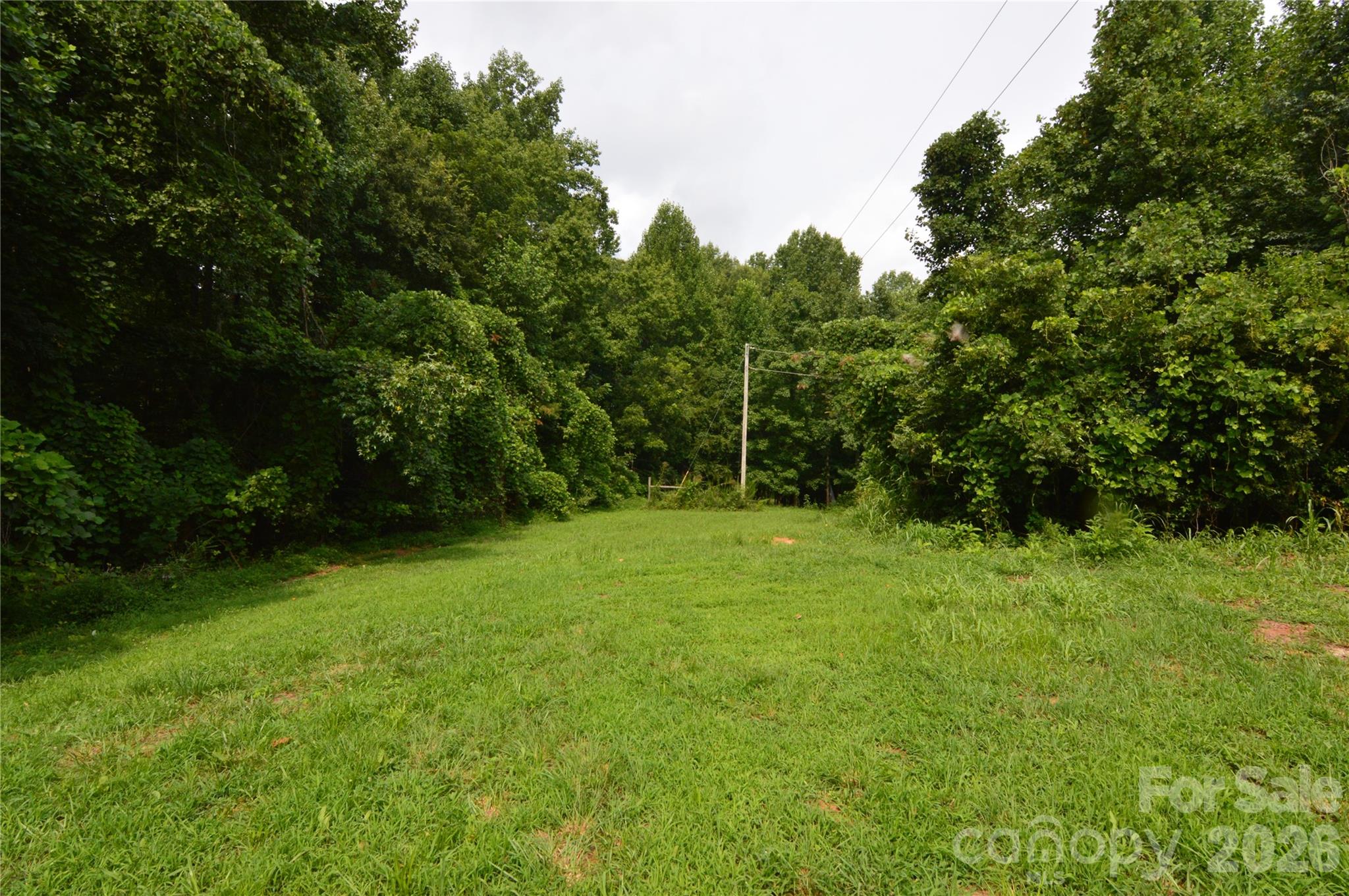 607 Anthony Grove Road Property Photo 11