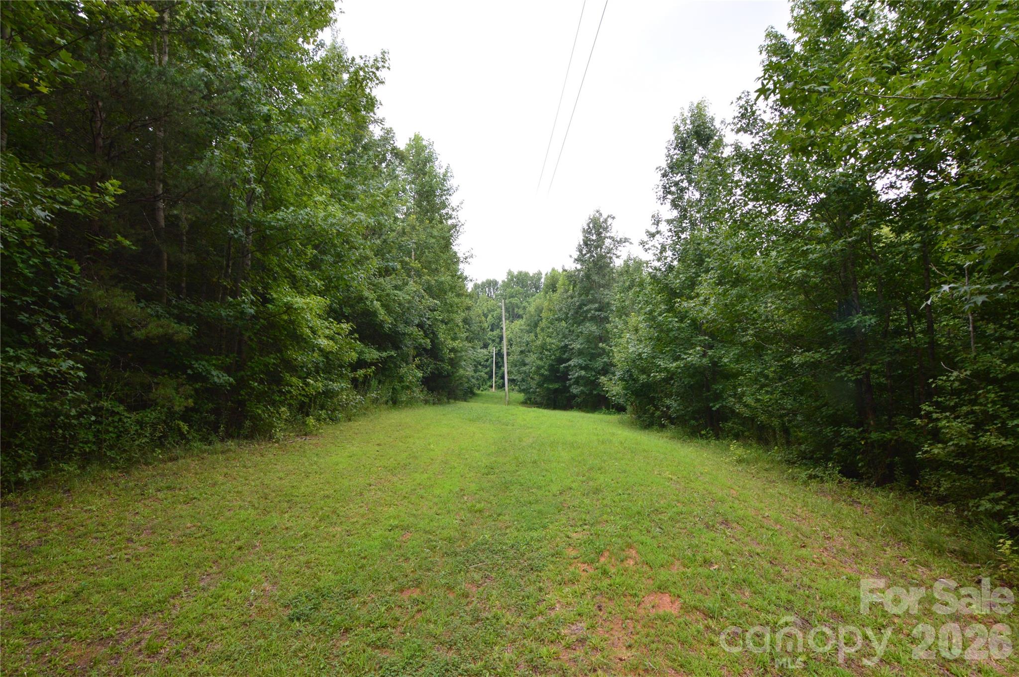 607 Anthony Grove Road Property Photo 31