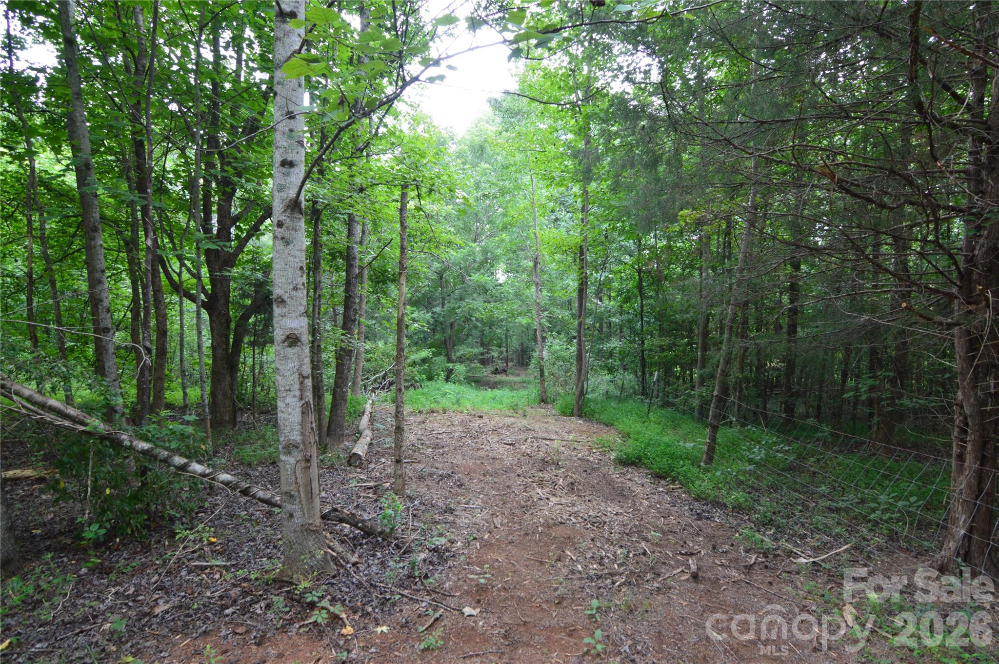 607 Anthony Grove Road Property Photo 32