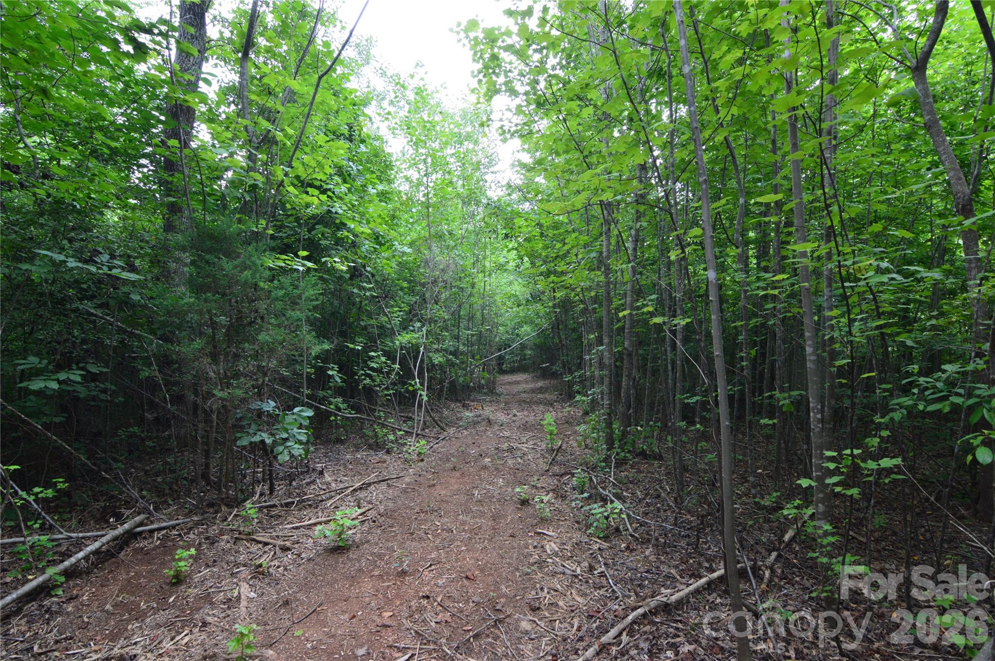 607 Anthony Grove Road Property Photo 33