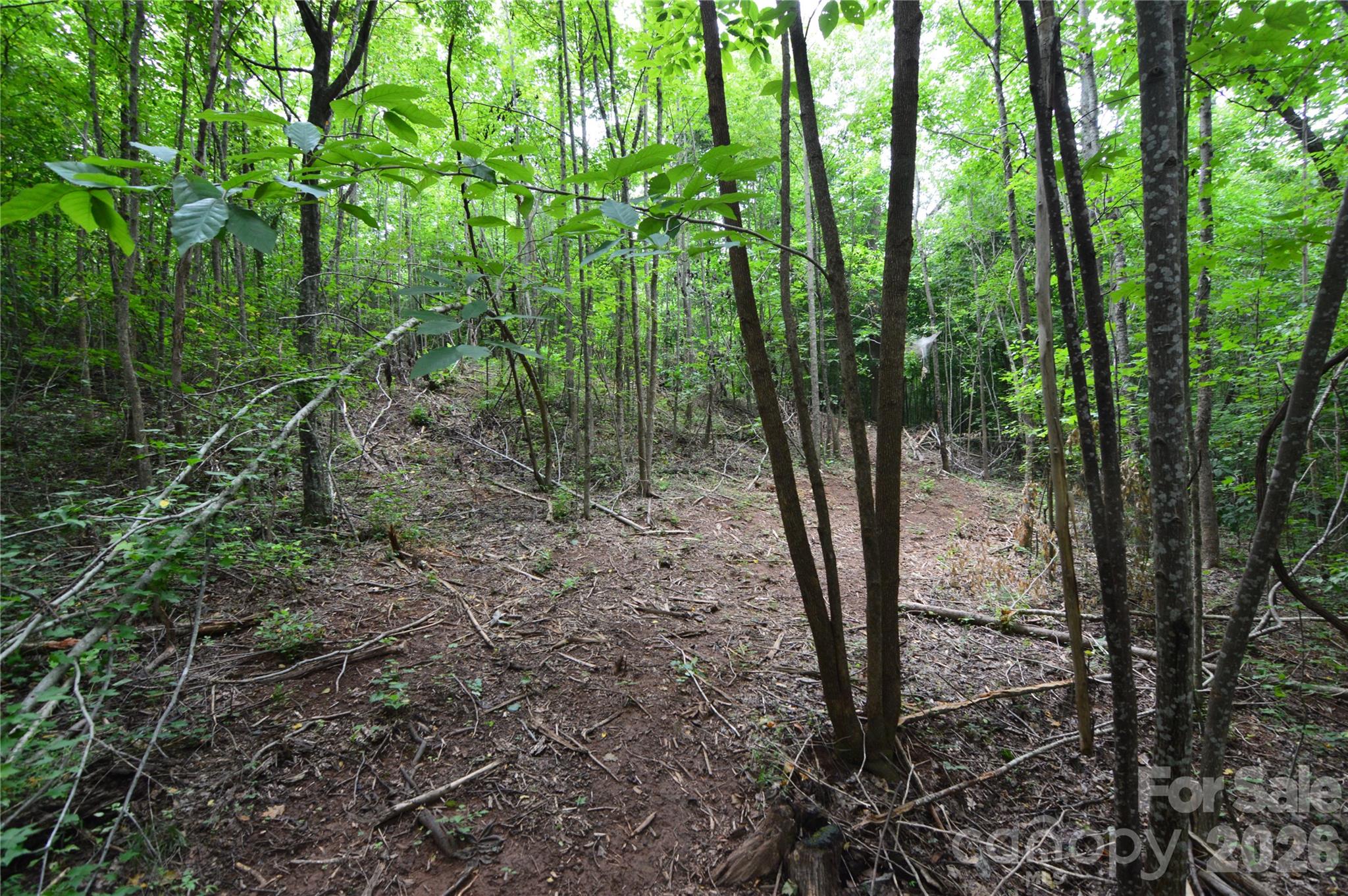 607 Anthony Grove Road Property Photo 34