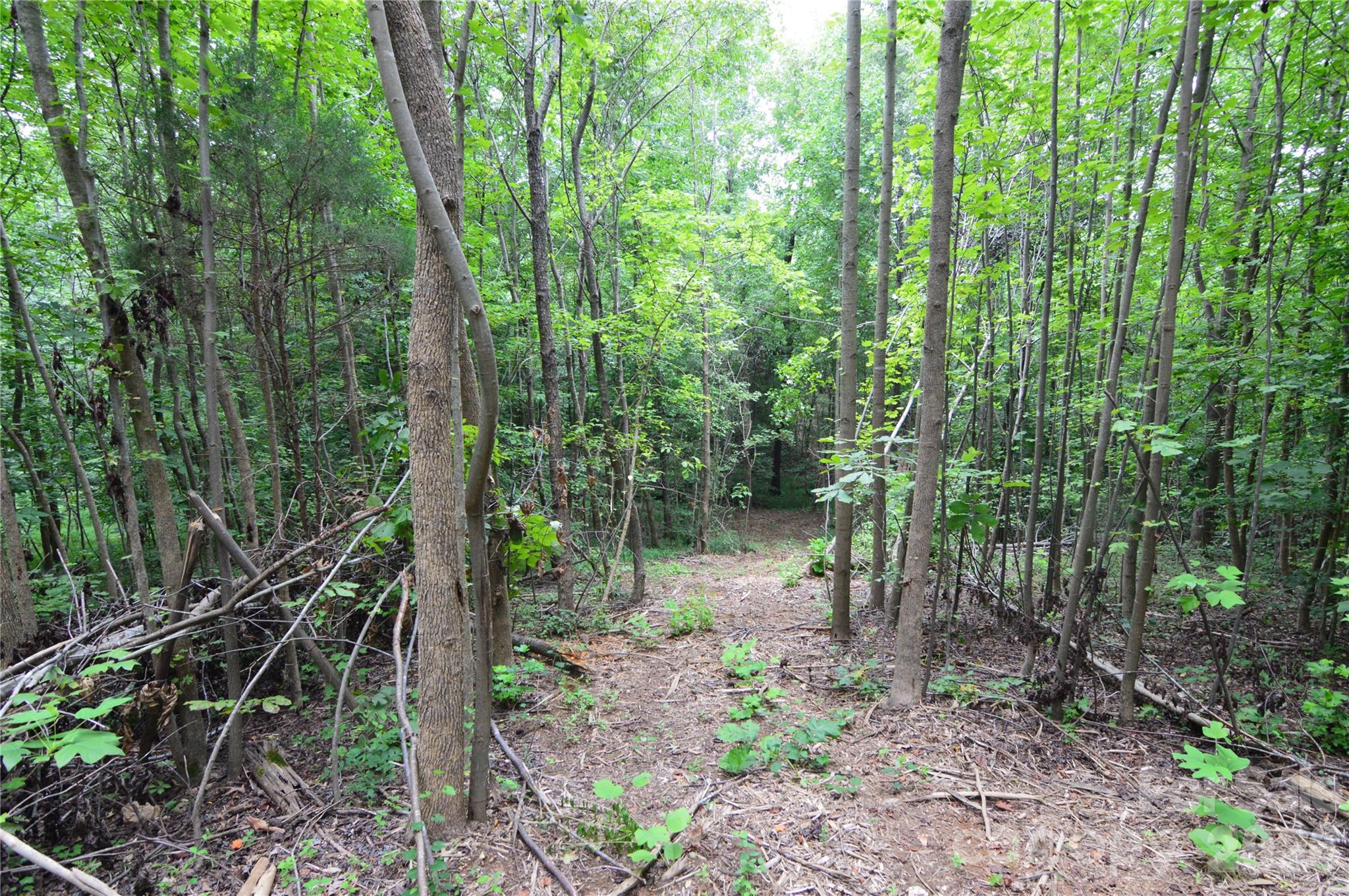 607 Anthony Grove Road Property Photo 35