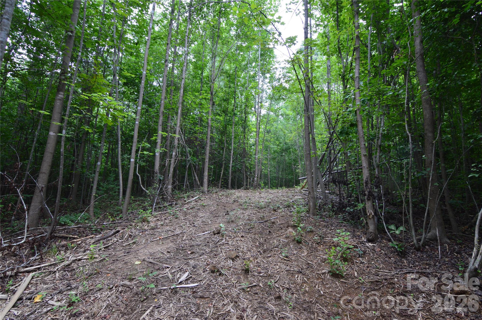 607 Anthony Grove Road Property Photo 36